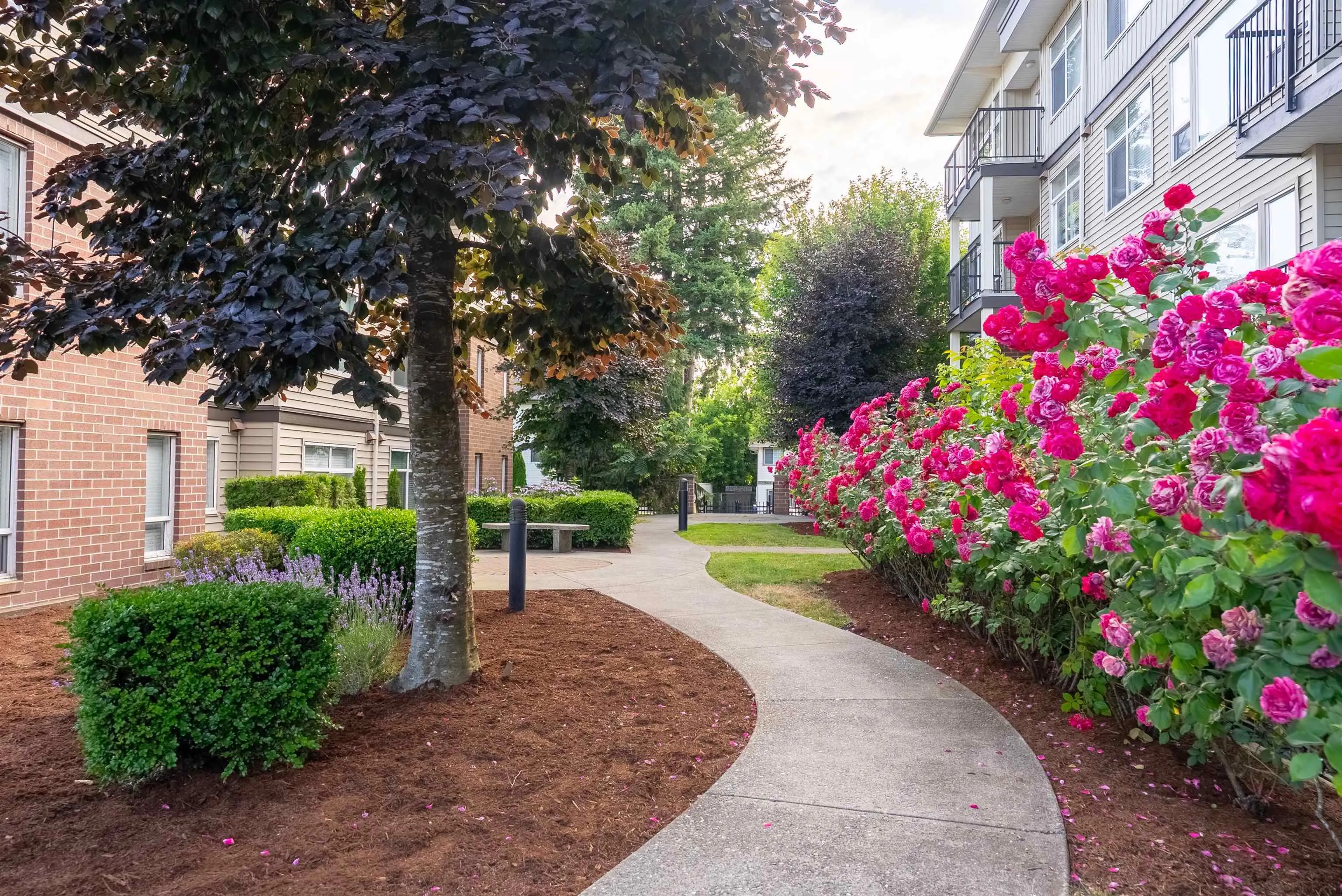 202 46150 Bole Avenue