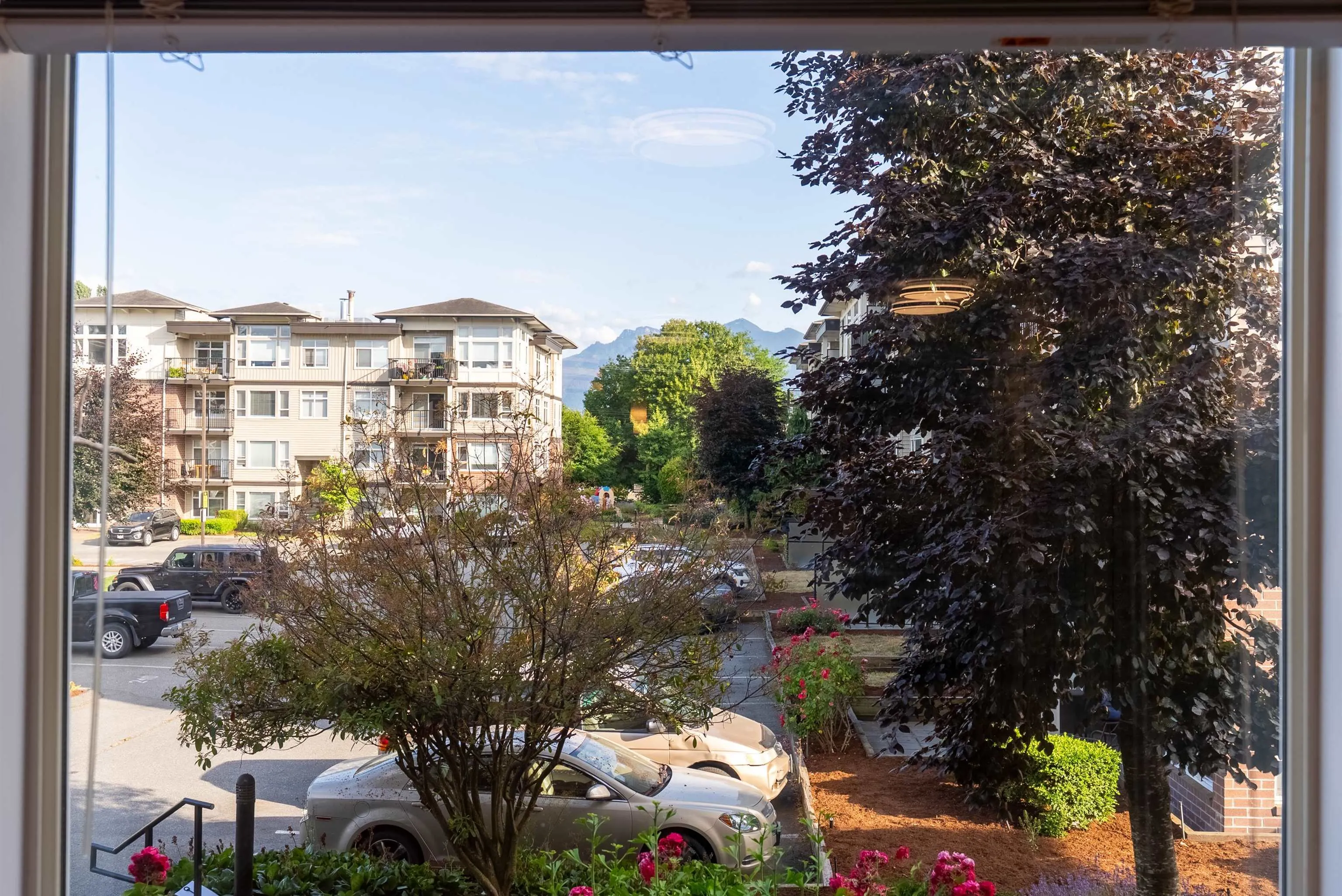 202 46150 Bole Avenue