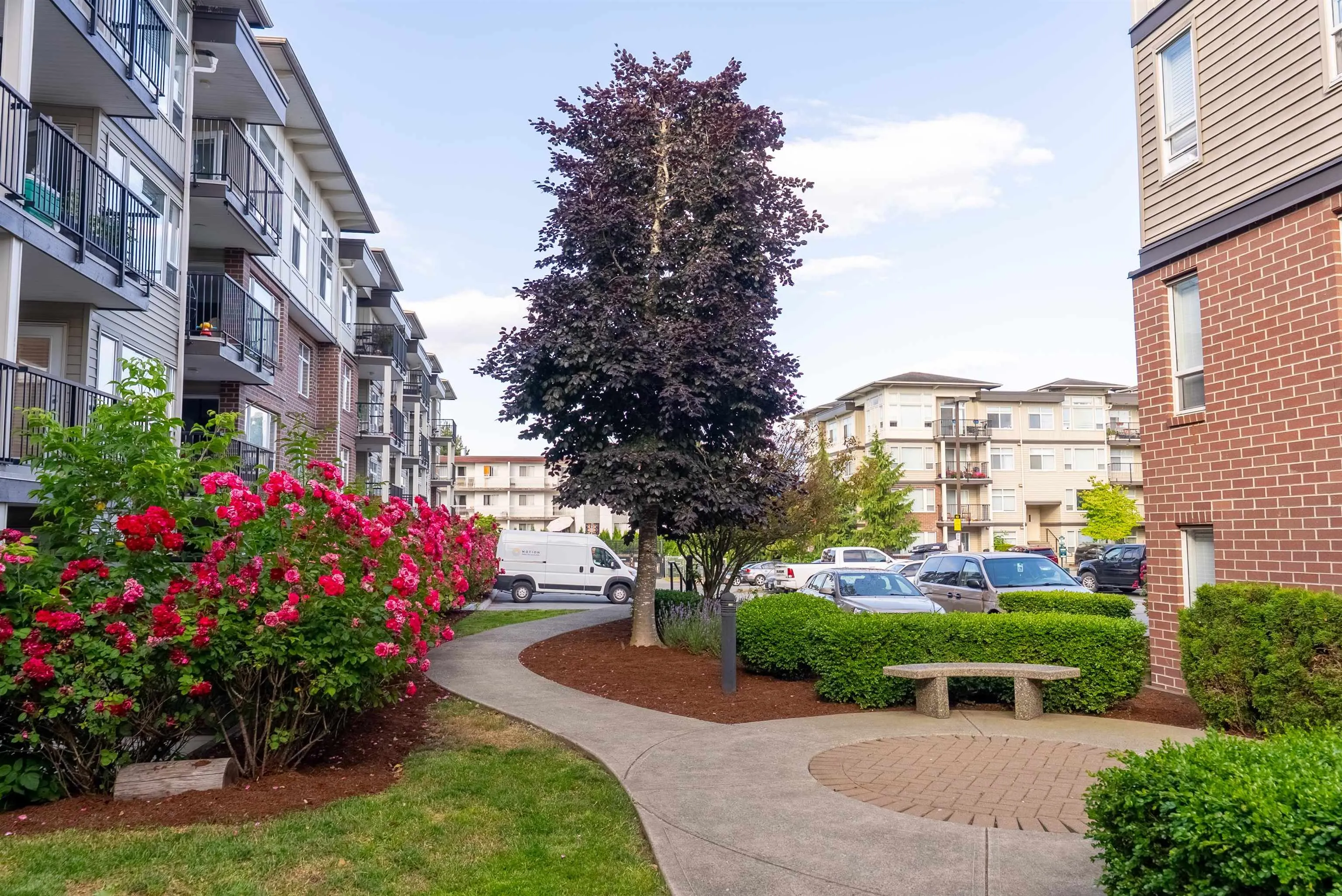 202 46150 Bole Avenue