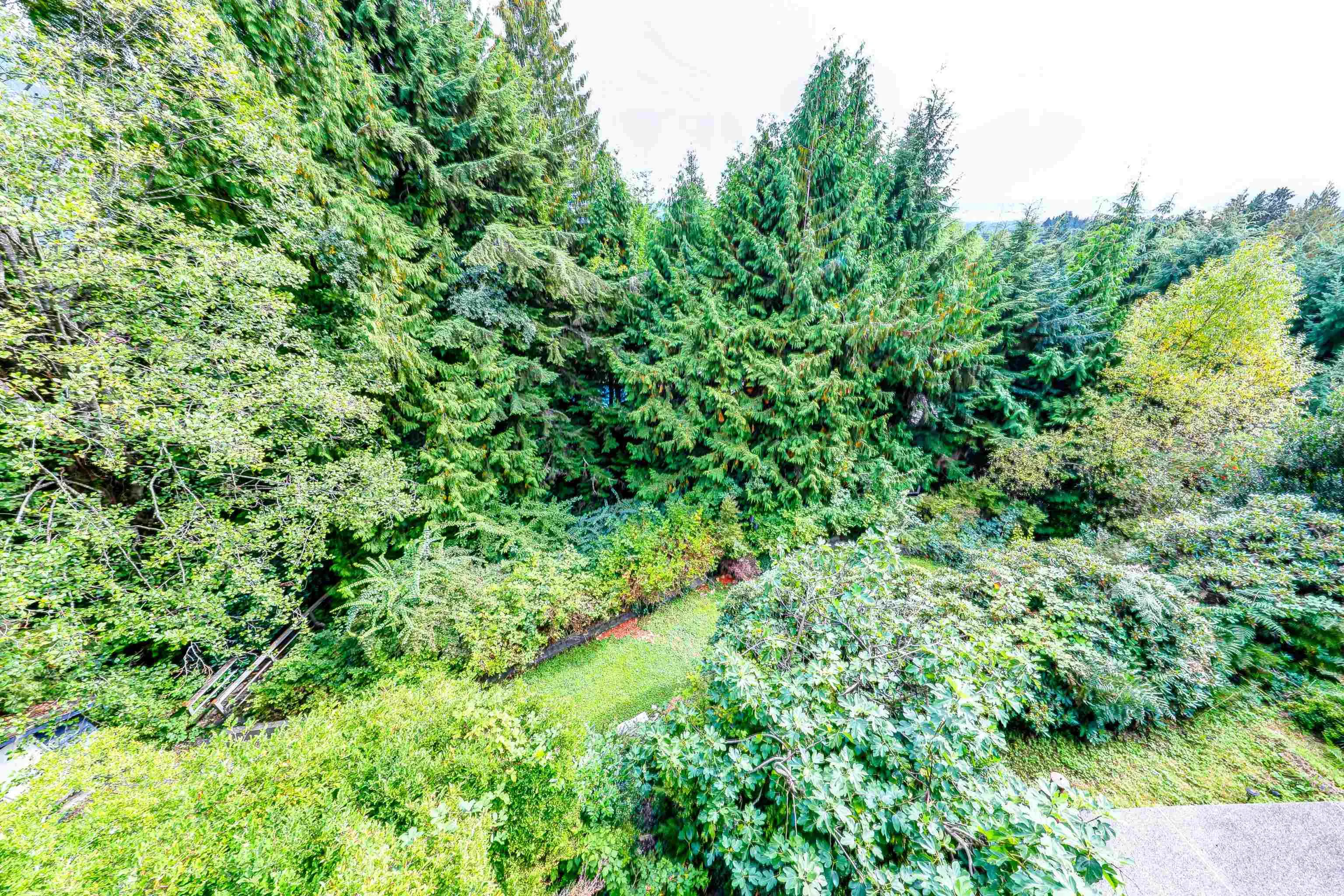 510 St. Andrews Road