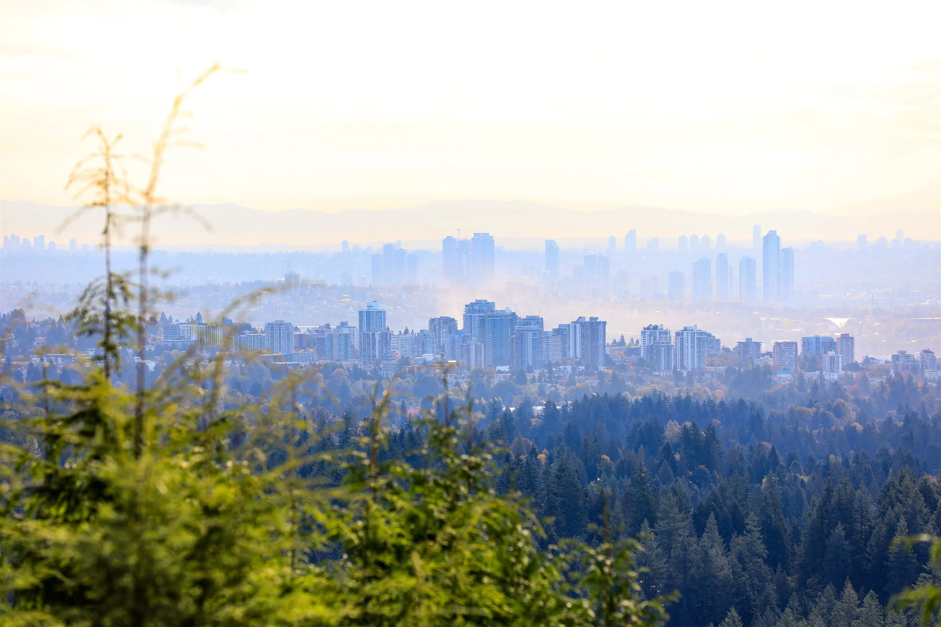 510 St. Andrews Road