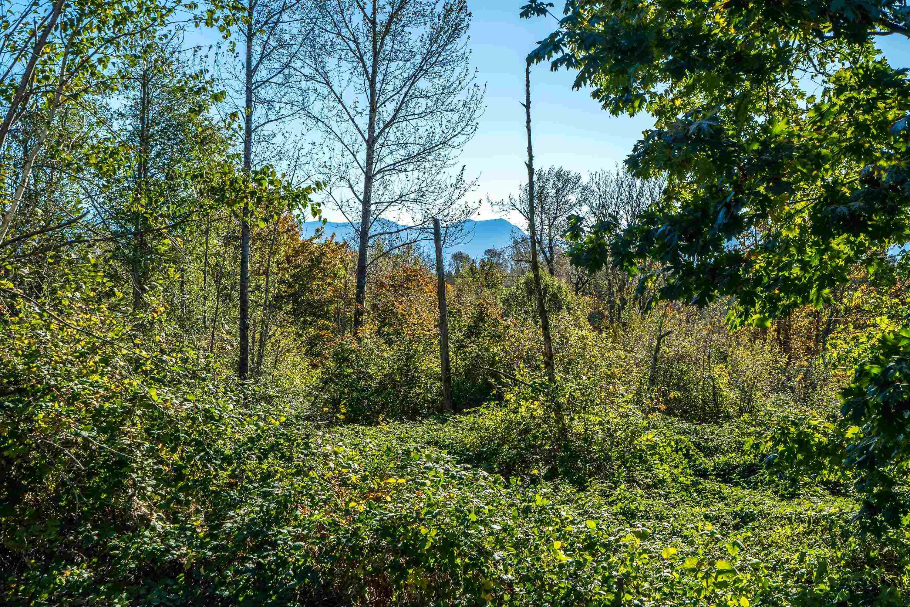 9 43201 Lougheed Highway