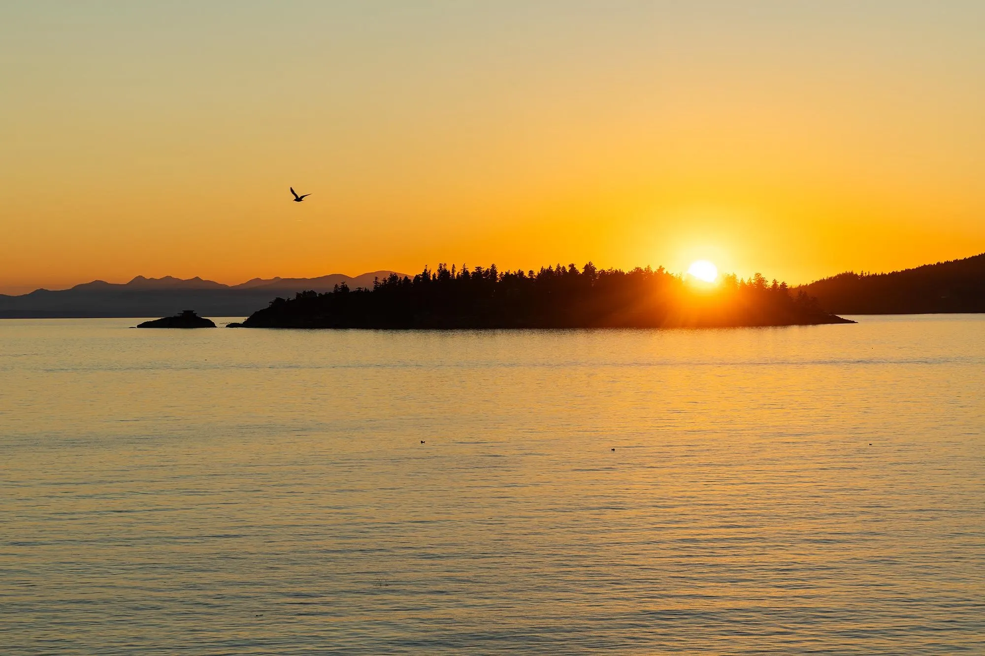 5530 Parthenon Place