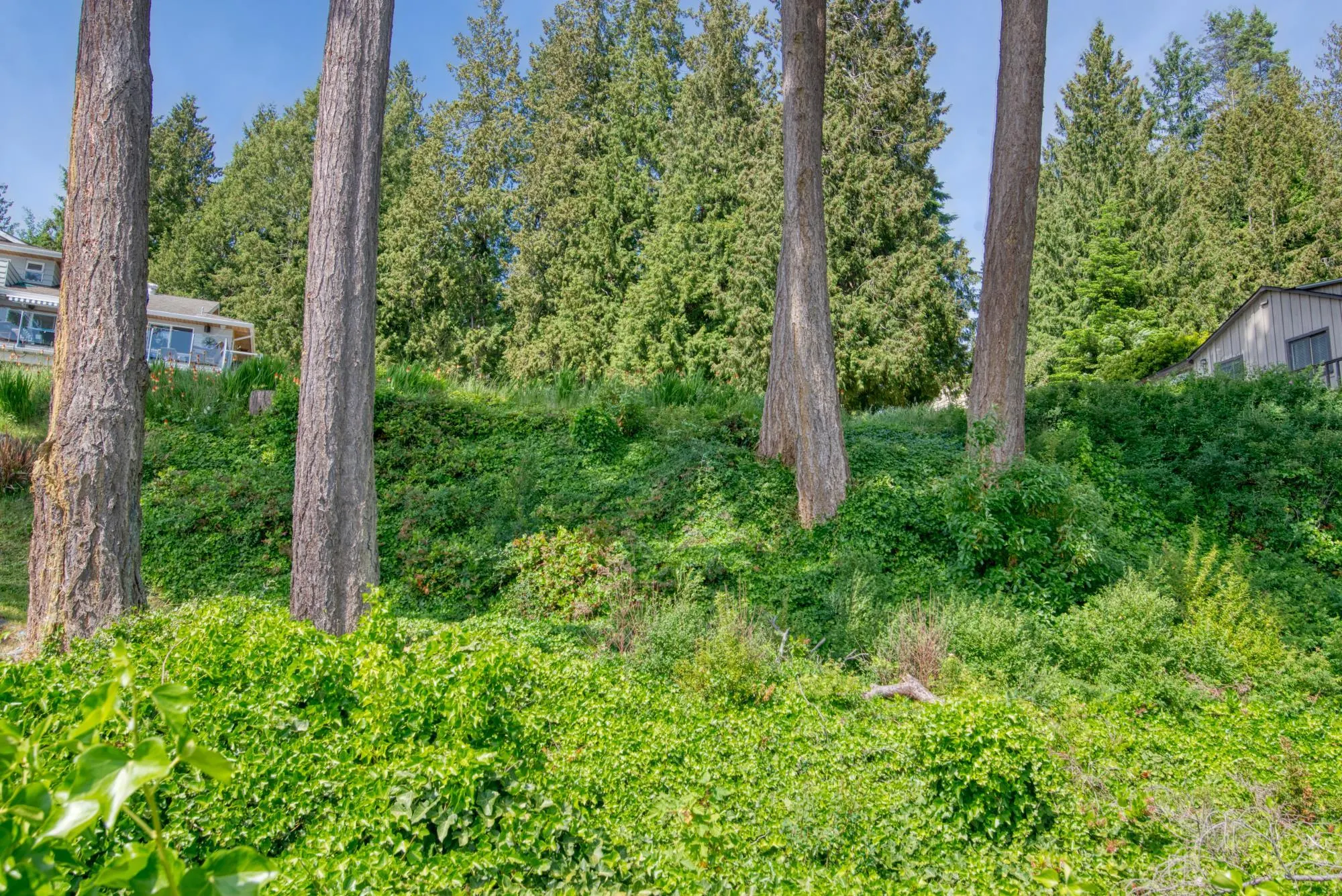 Lot 12 Sunshine Coast Highway