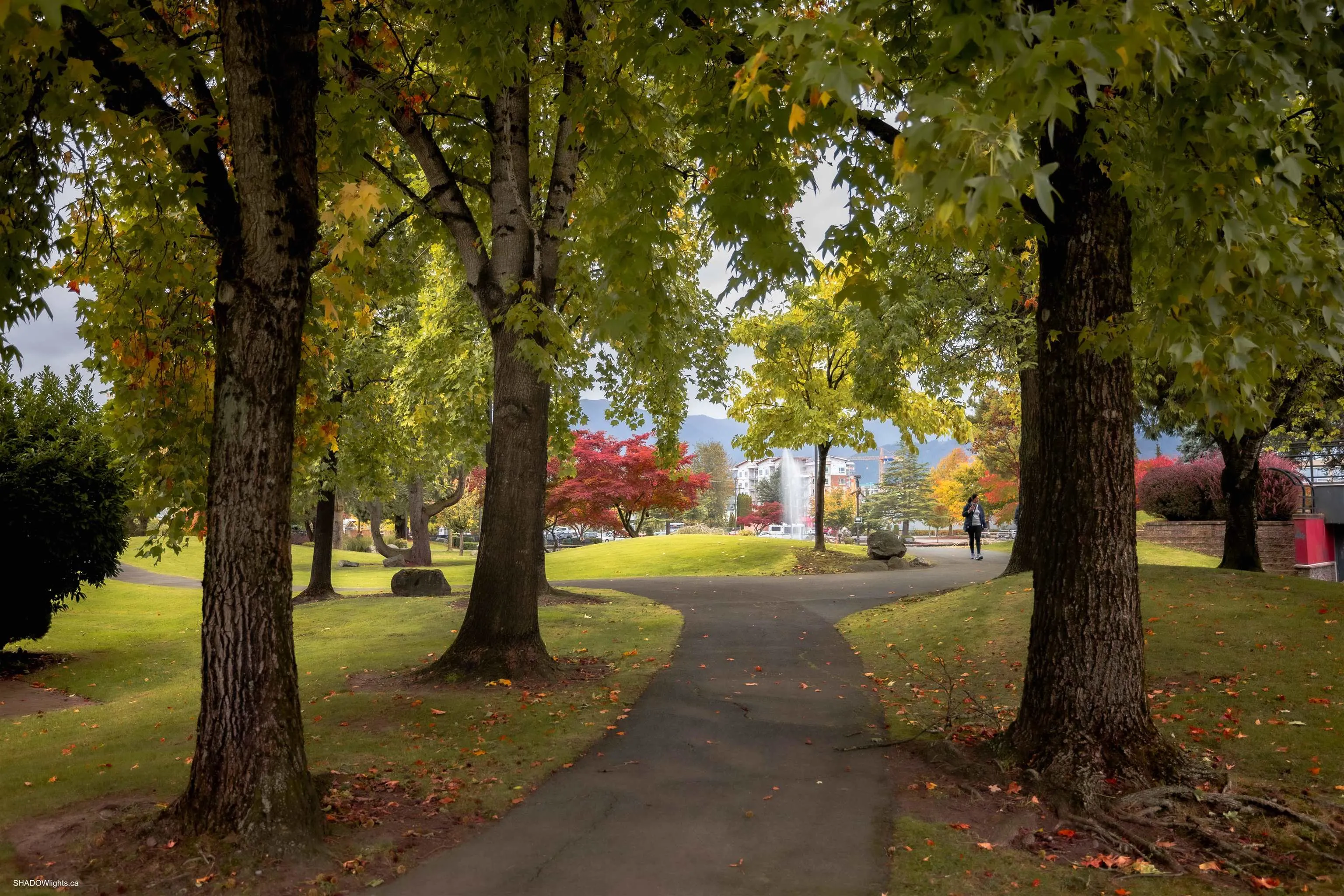 15 45915 Cheam Avenue