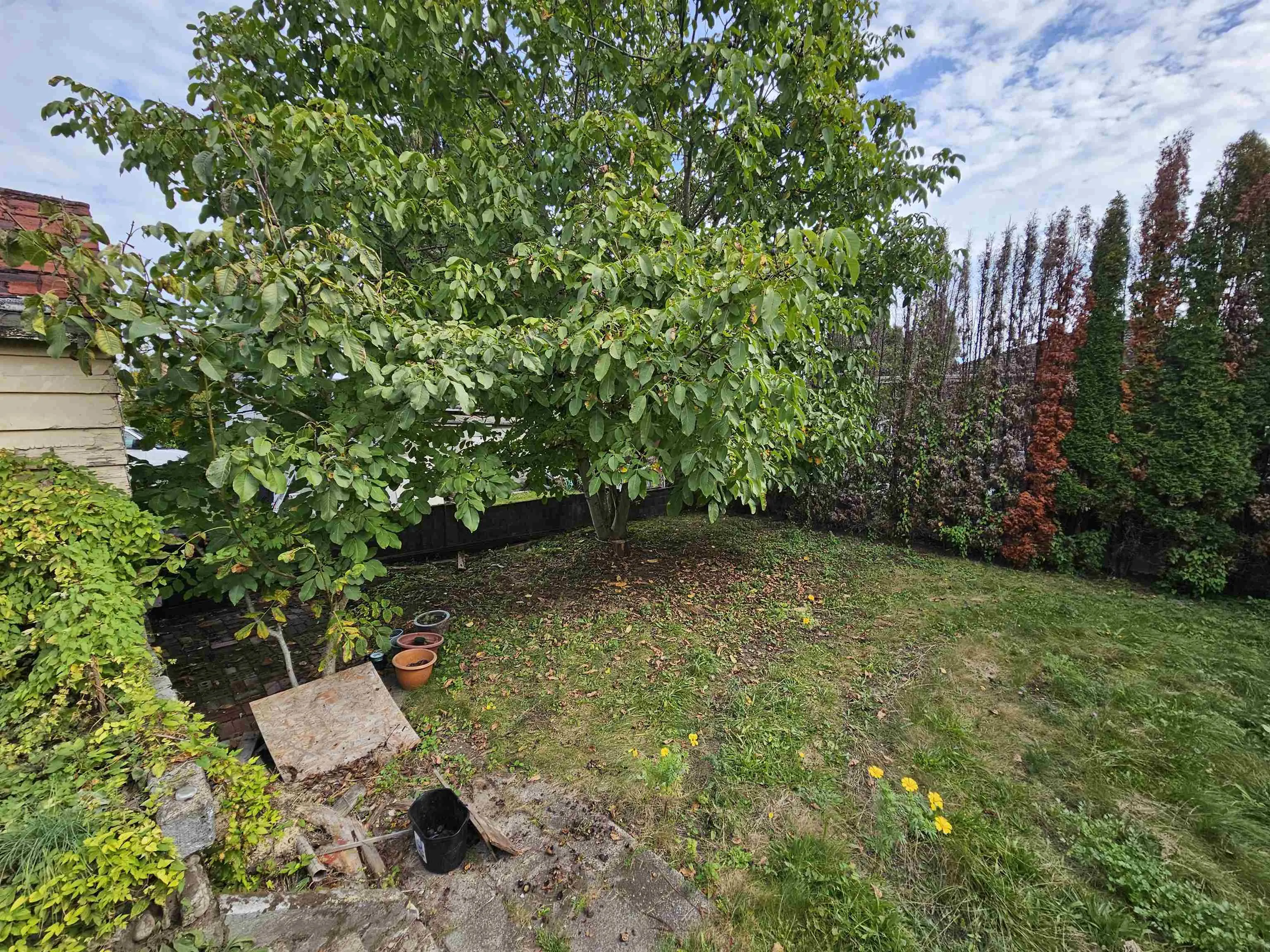 2006 Hamilton Street