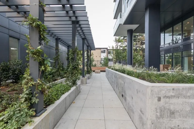 2906 537 Cottonwood Avenue