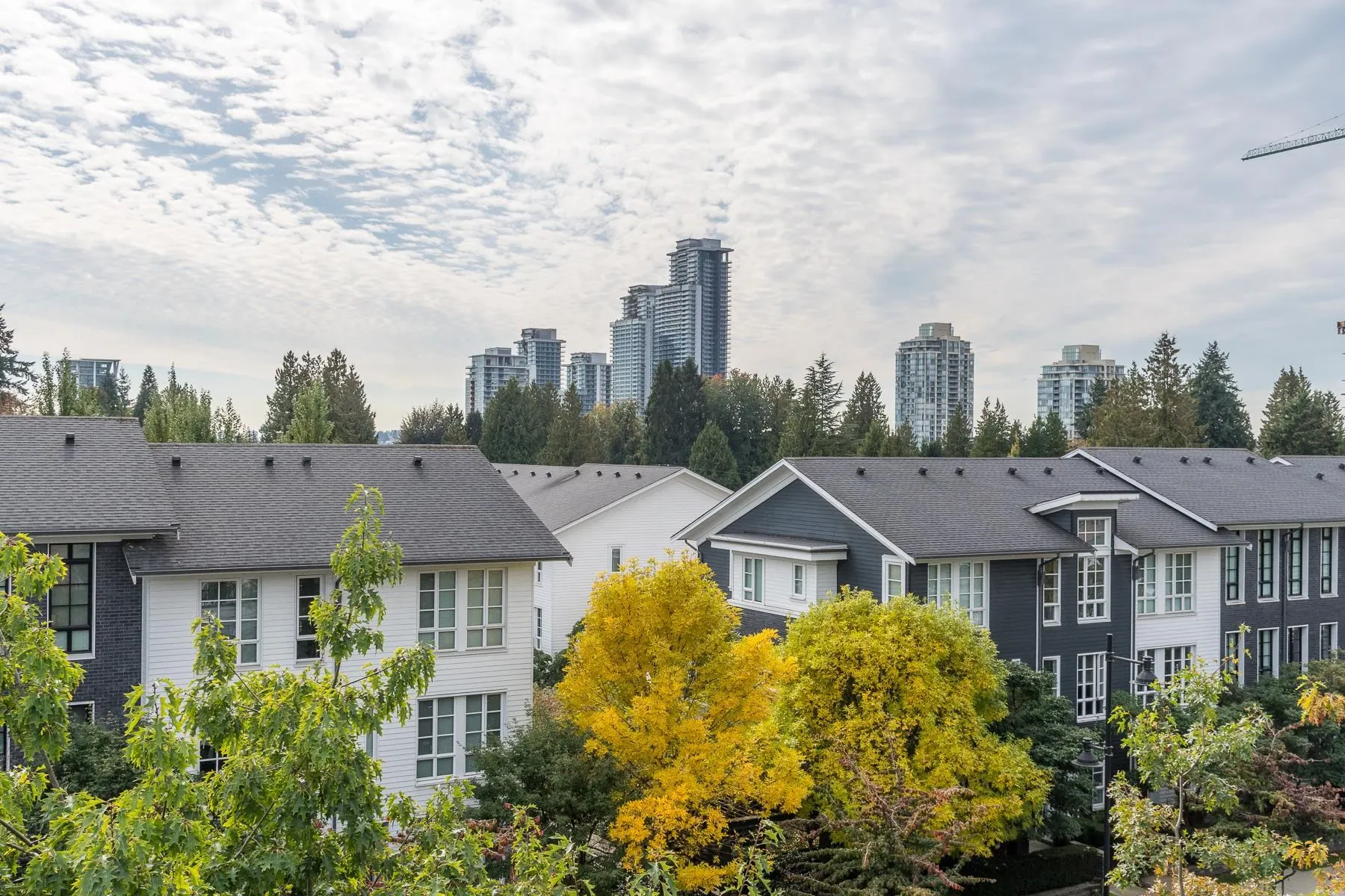 415 553 Foster Avenue