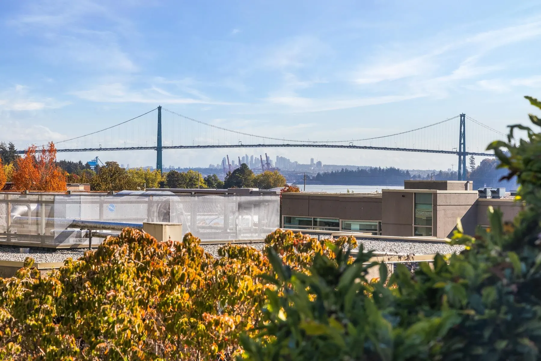 201 588 16th Street