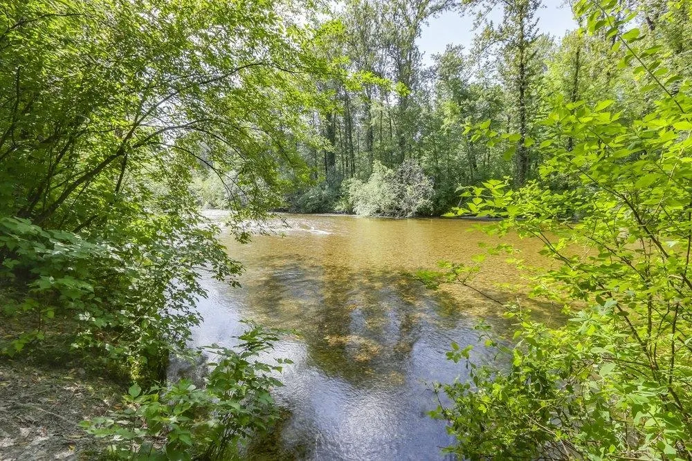 202 2335 Whyte Avenue