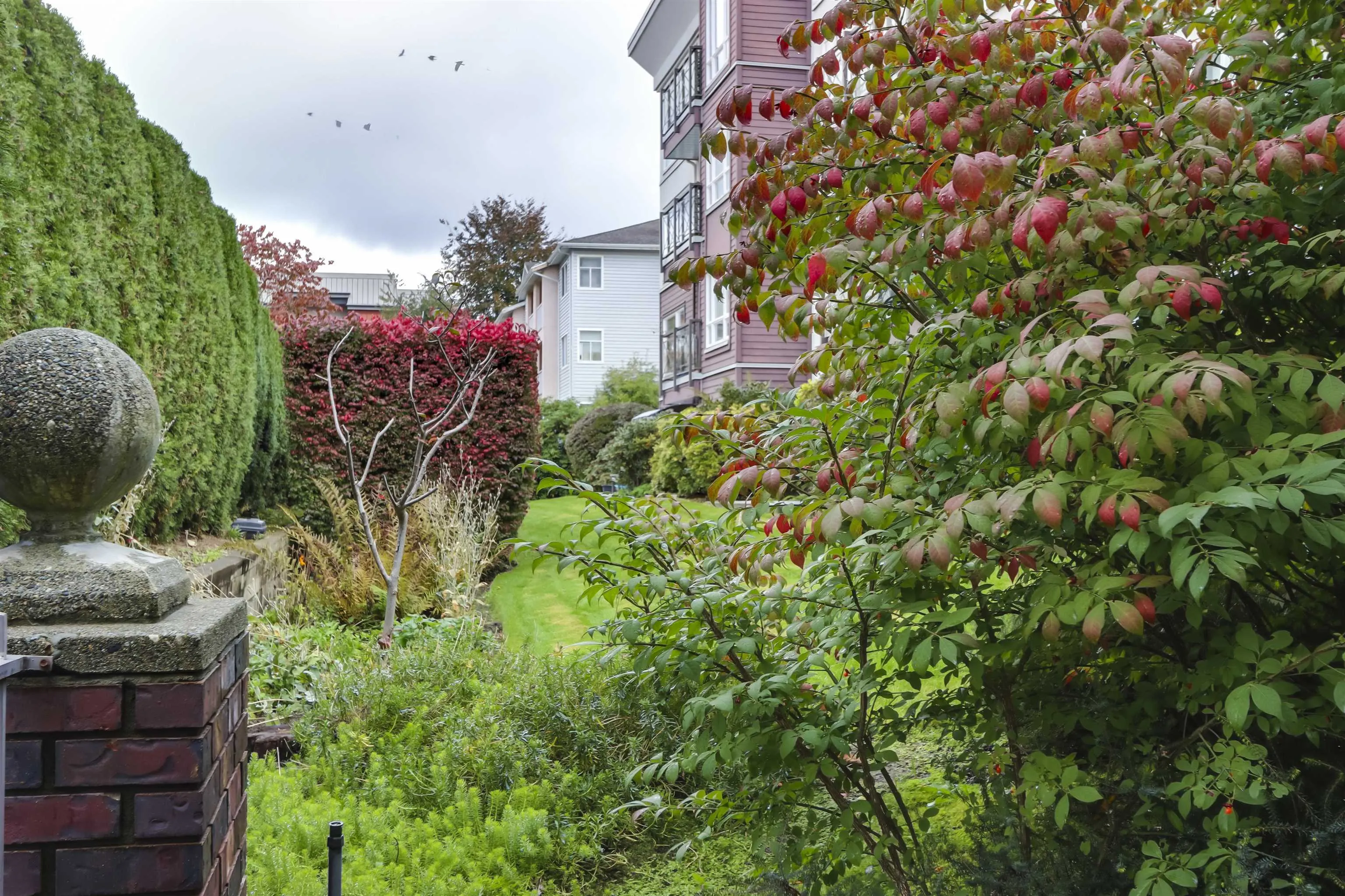 202 2335 Whyte Avenue