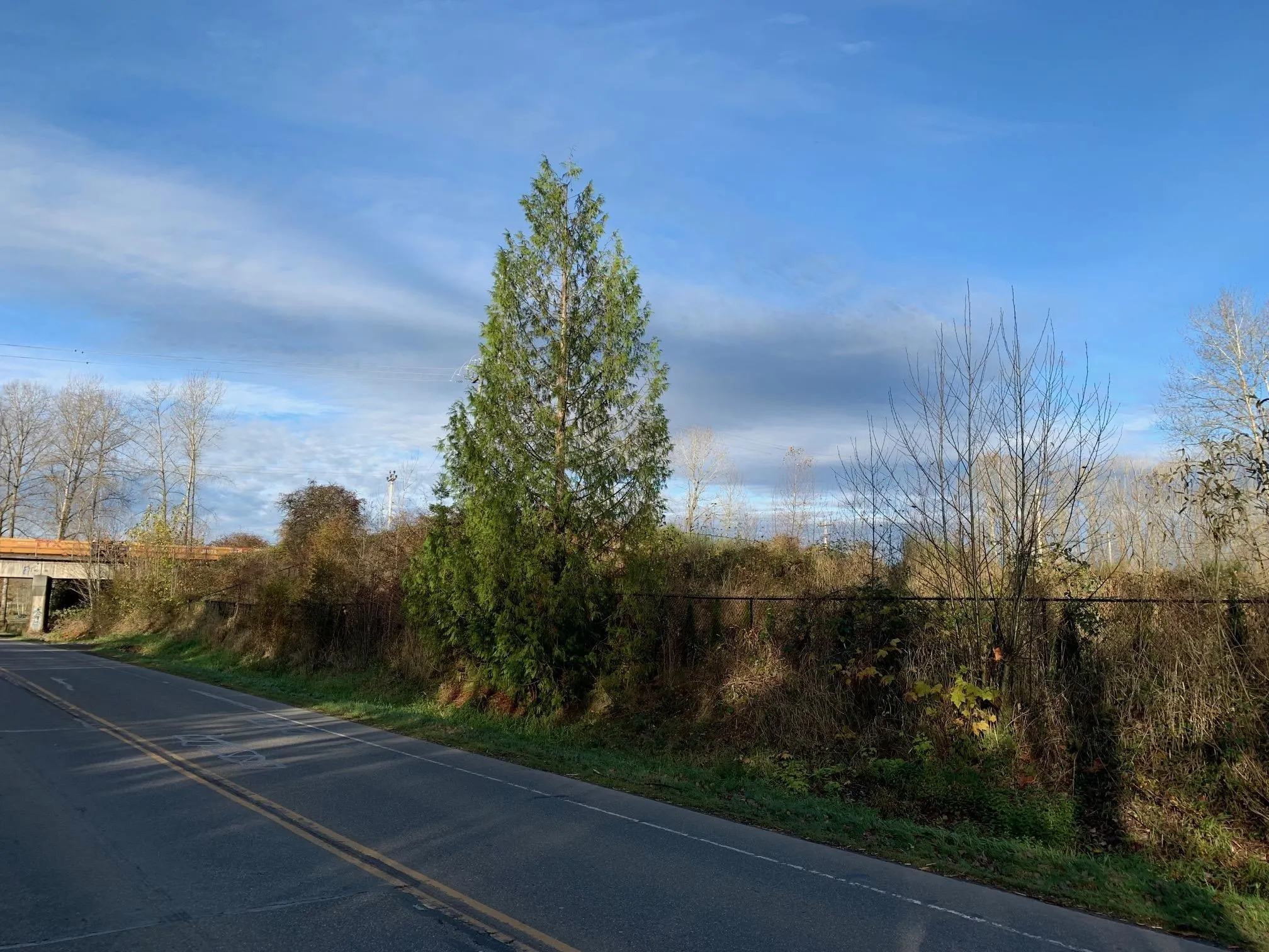 LT.1 Rawlison Crescent