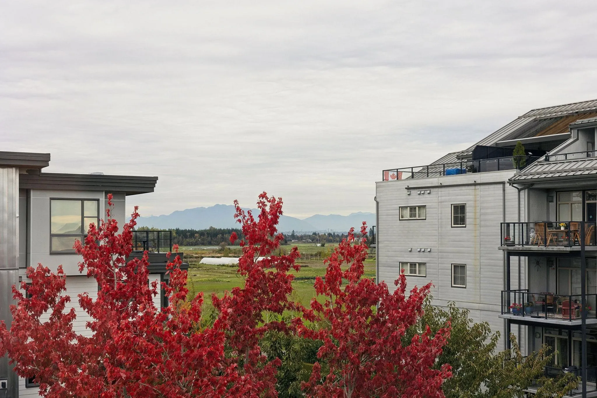 220 6111 London Road