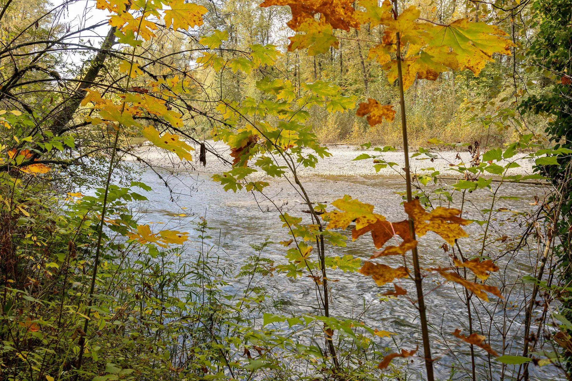 109 2353 Marpole Avenue