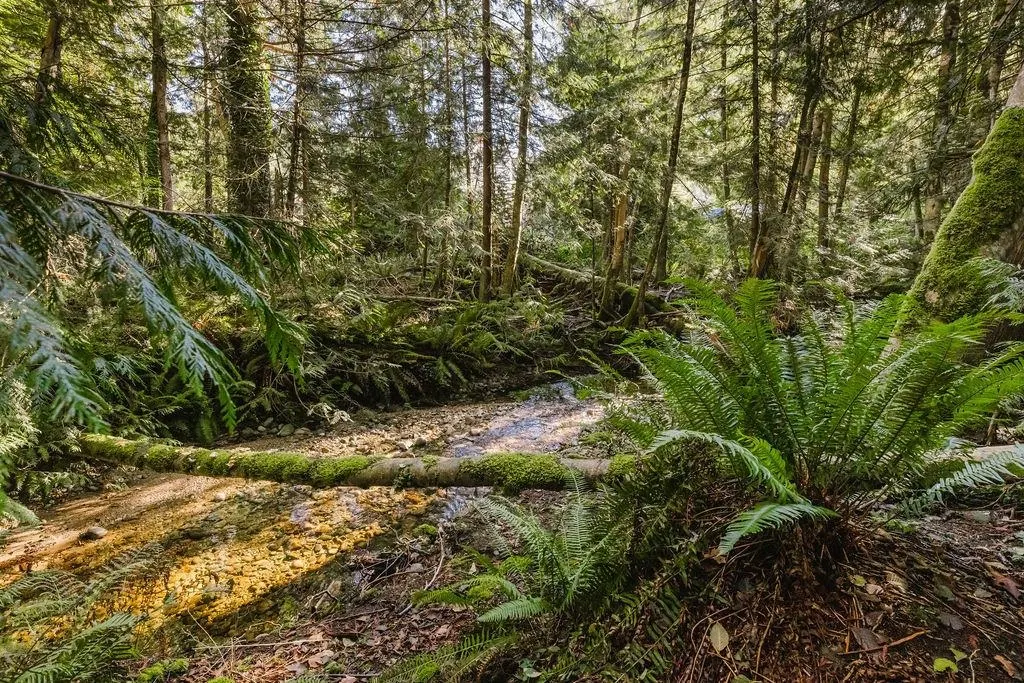 6252 Sechelt Inlet Road