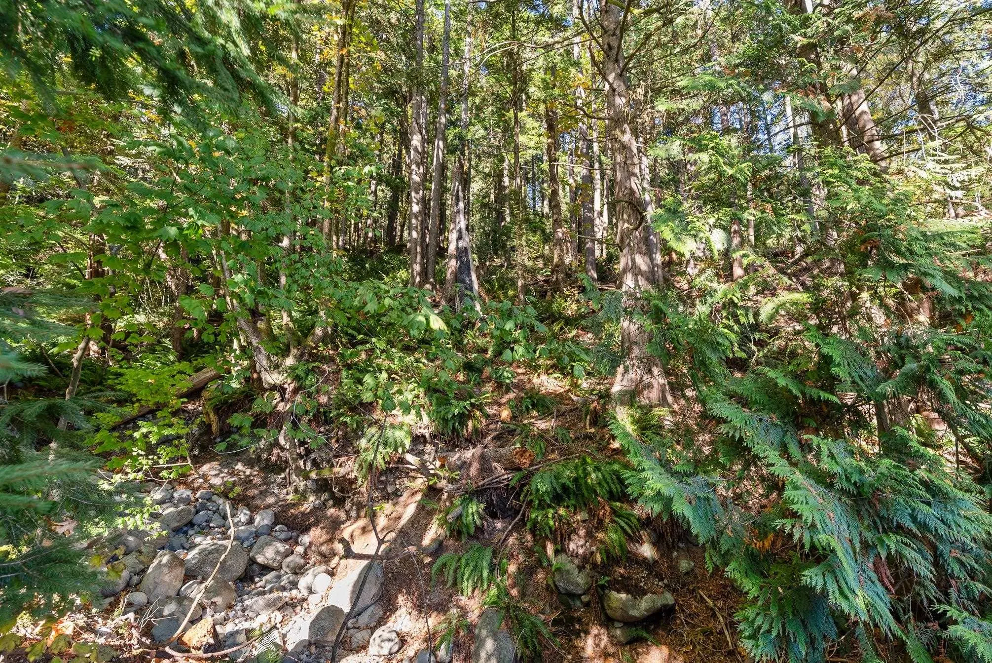 2717 Panorama Drive