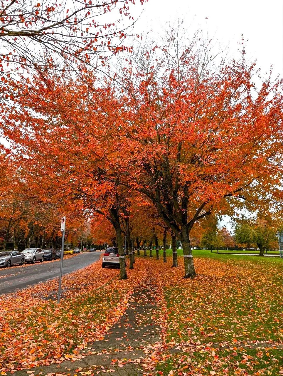 416 5900 Dover Crescent