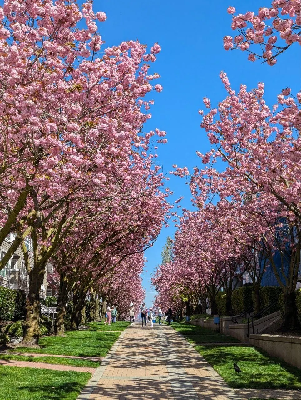 416 5900 Dover Crescent