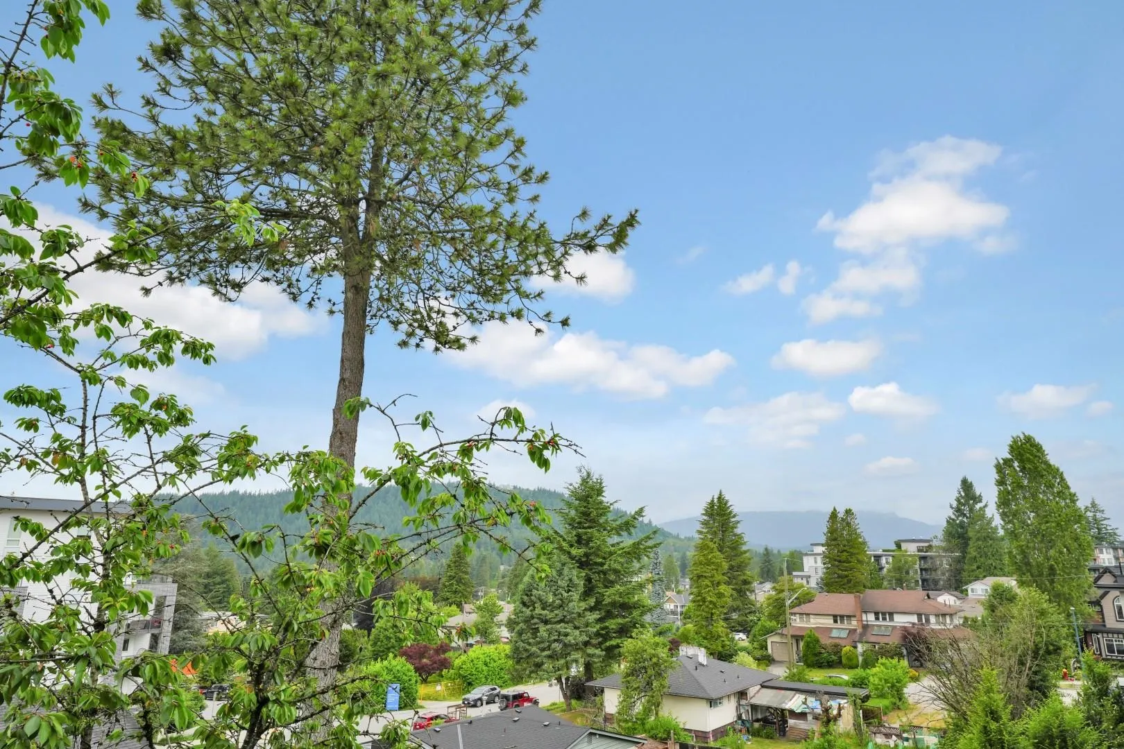 311 707 Como Lake Avenue