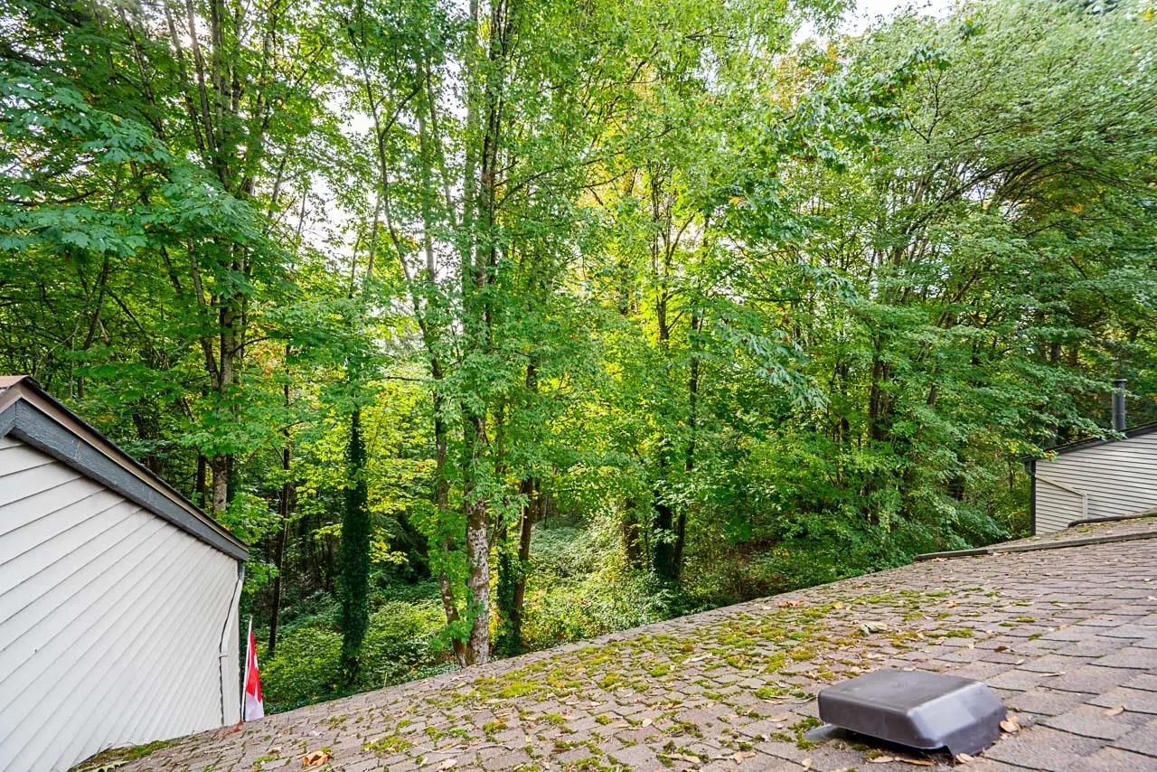 8588 Wilderness Court