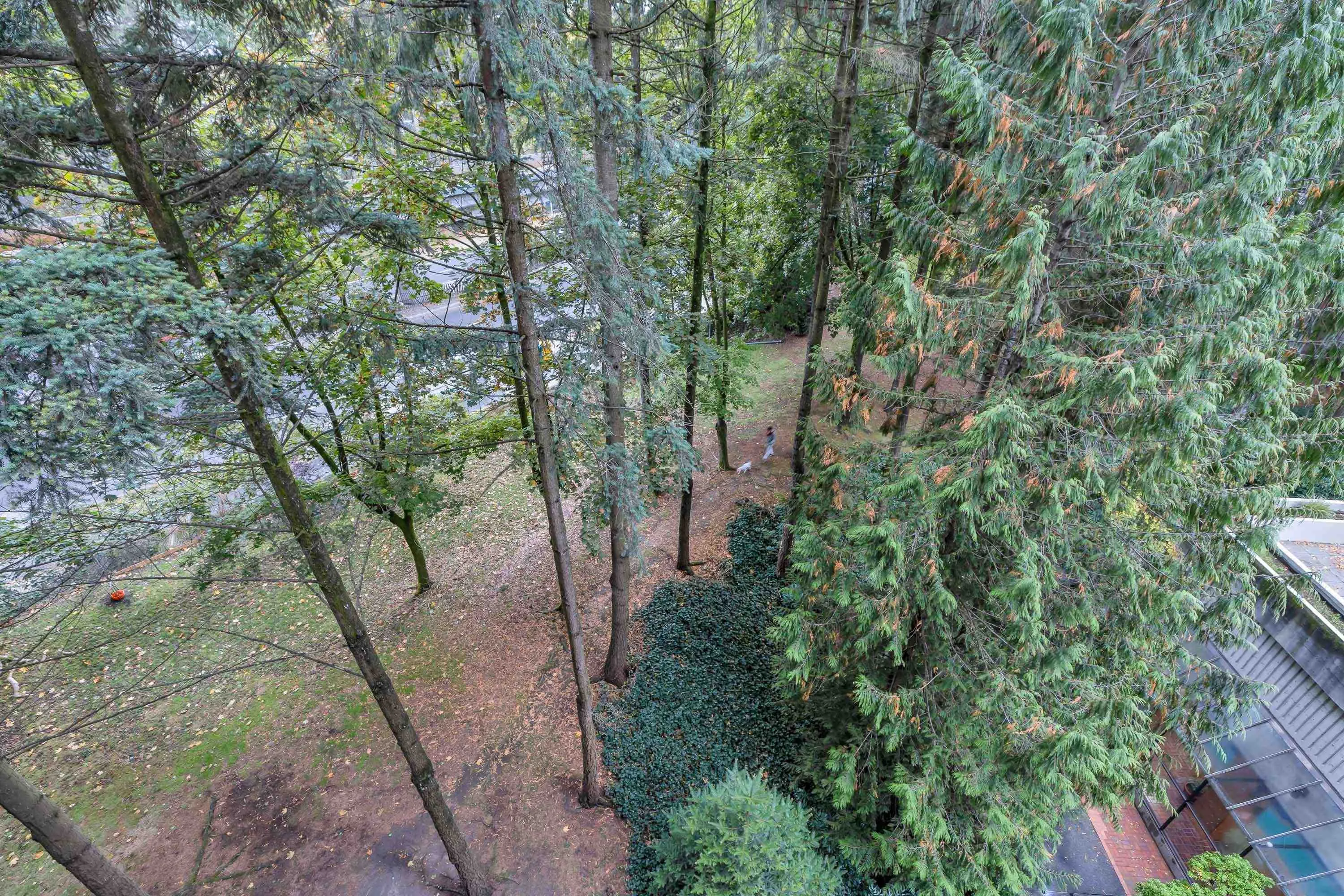 501 3771 Bartlett Court