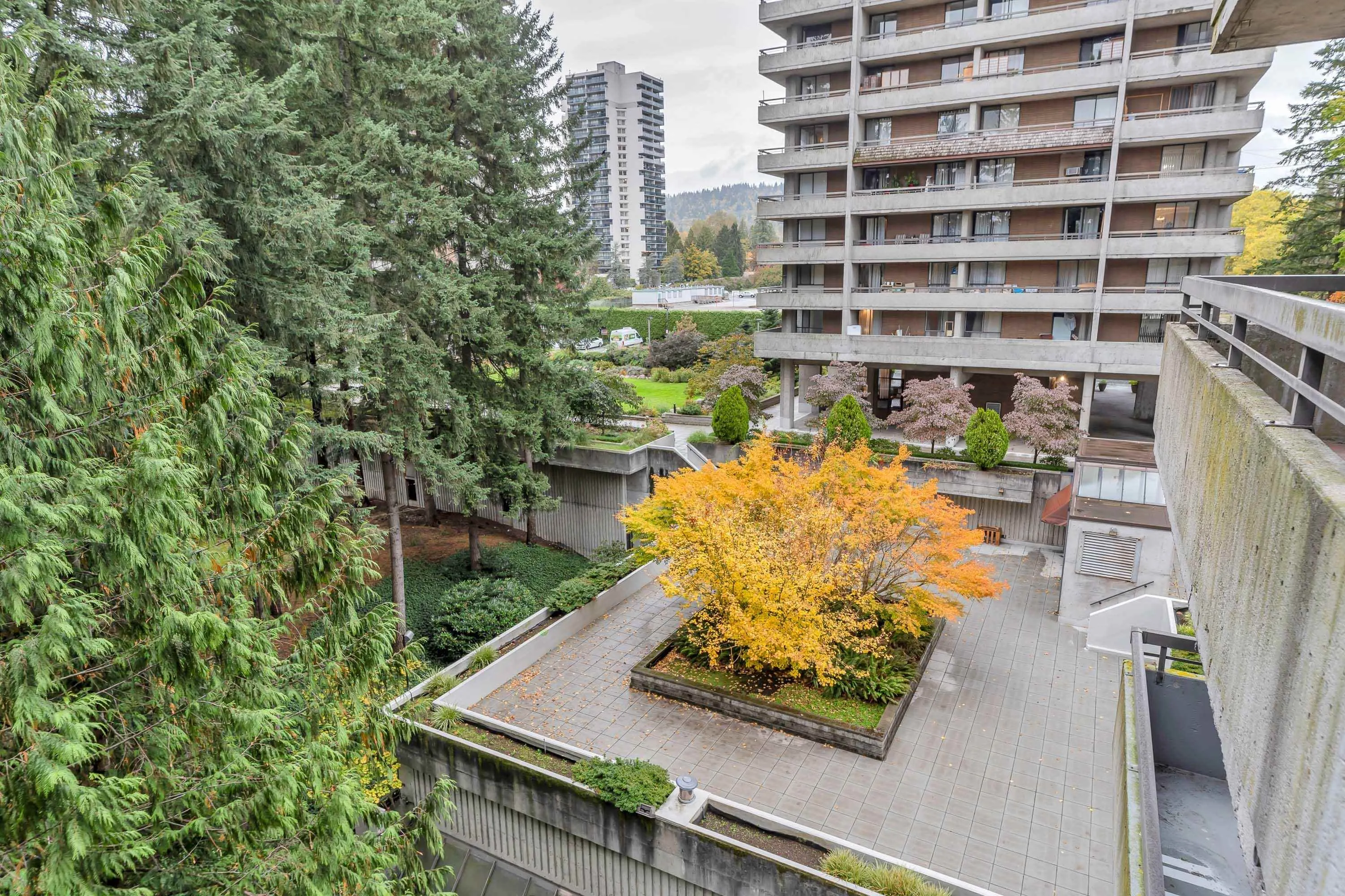 501 3771 Bartlett Court