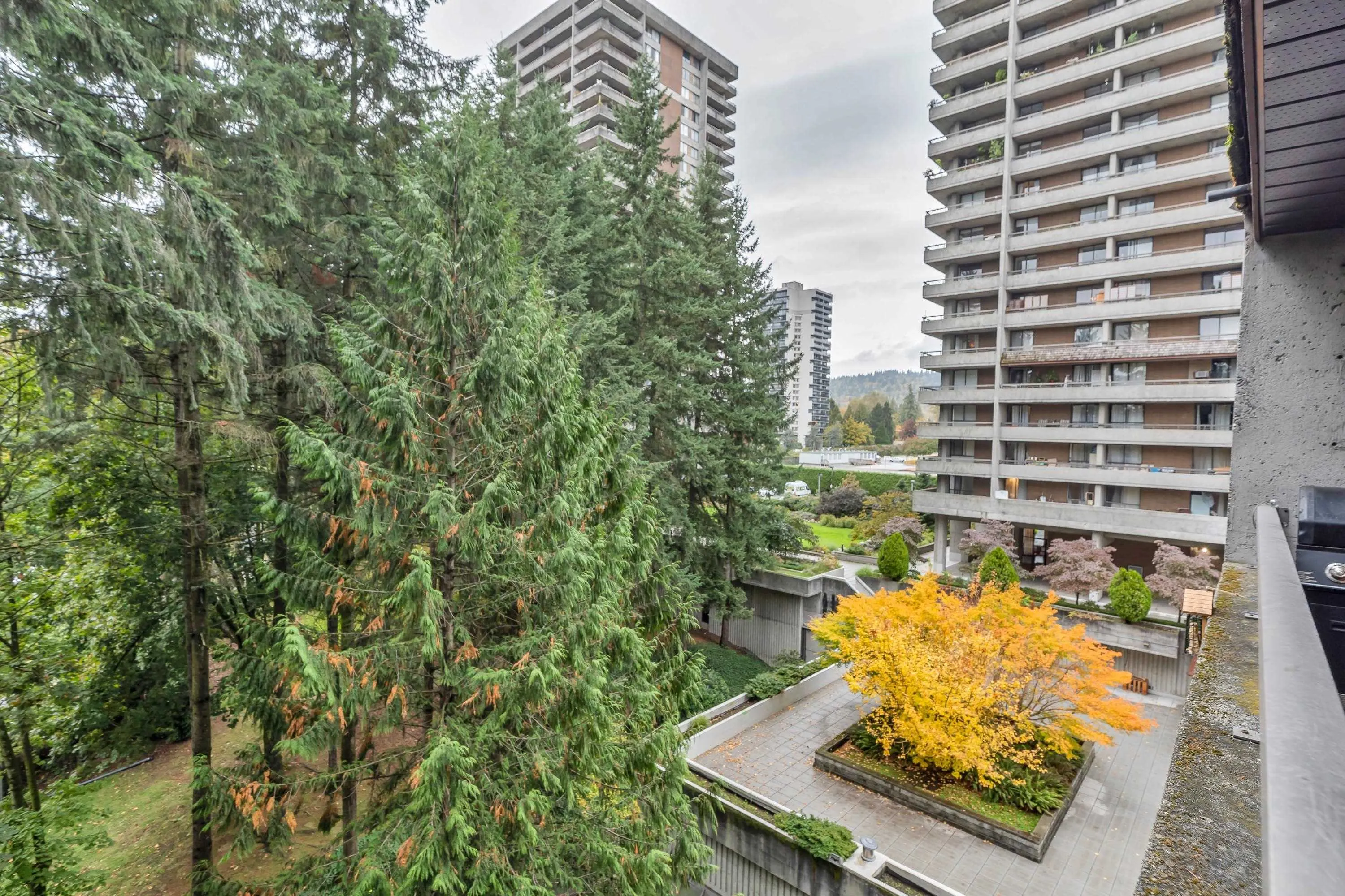 501 3771 Bartlett Court