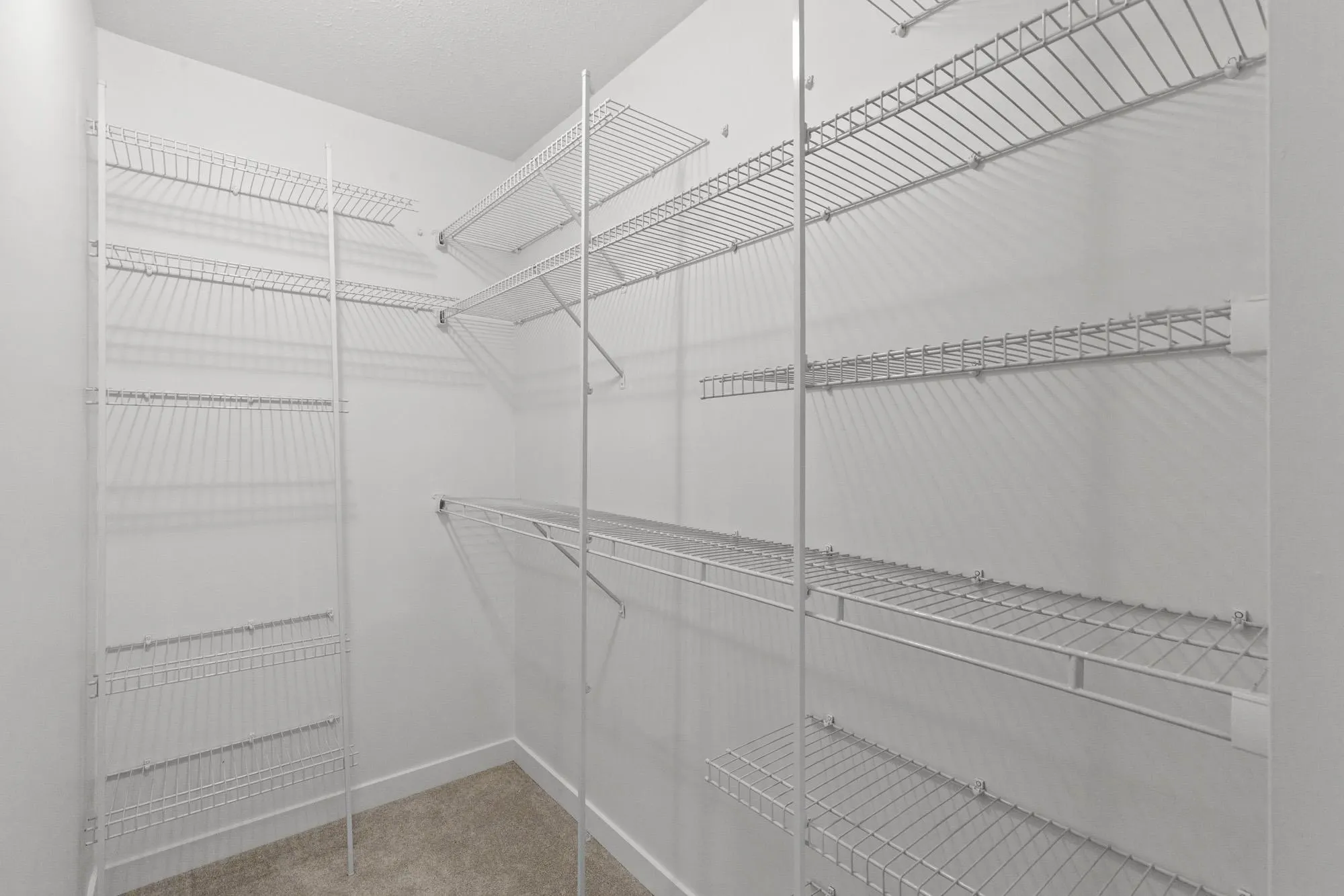 32925 Orchid Court