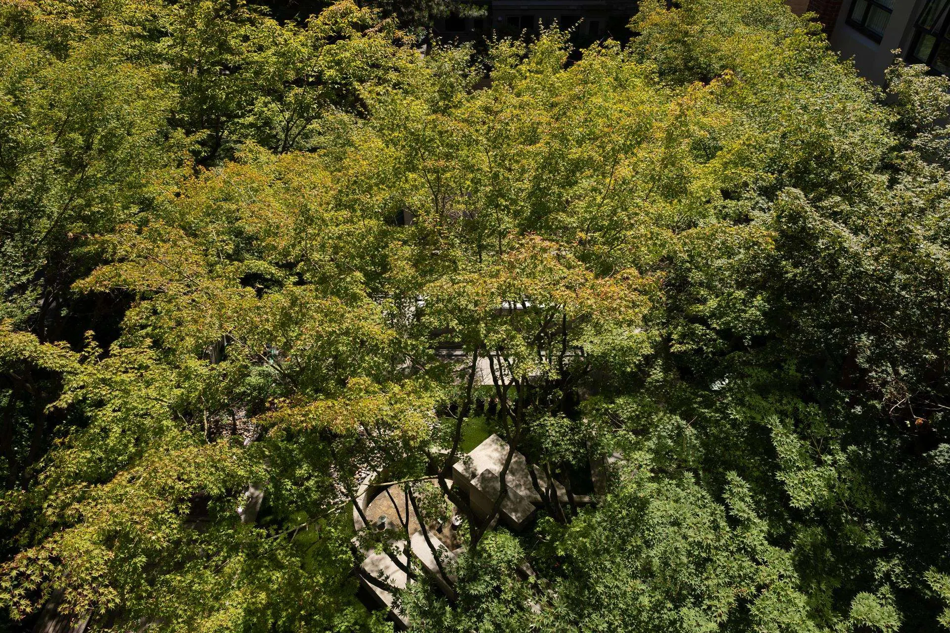 401 988 Richards Street