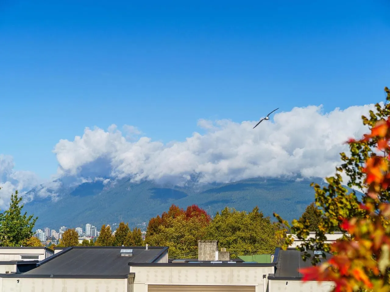 410 2388 Triumph Street