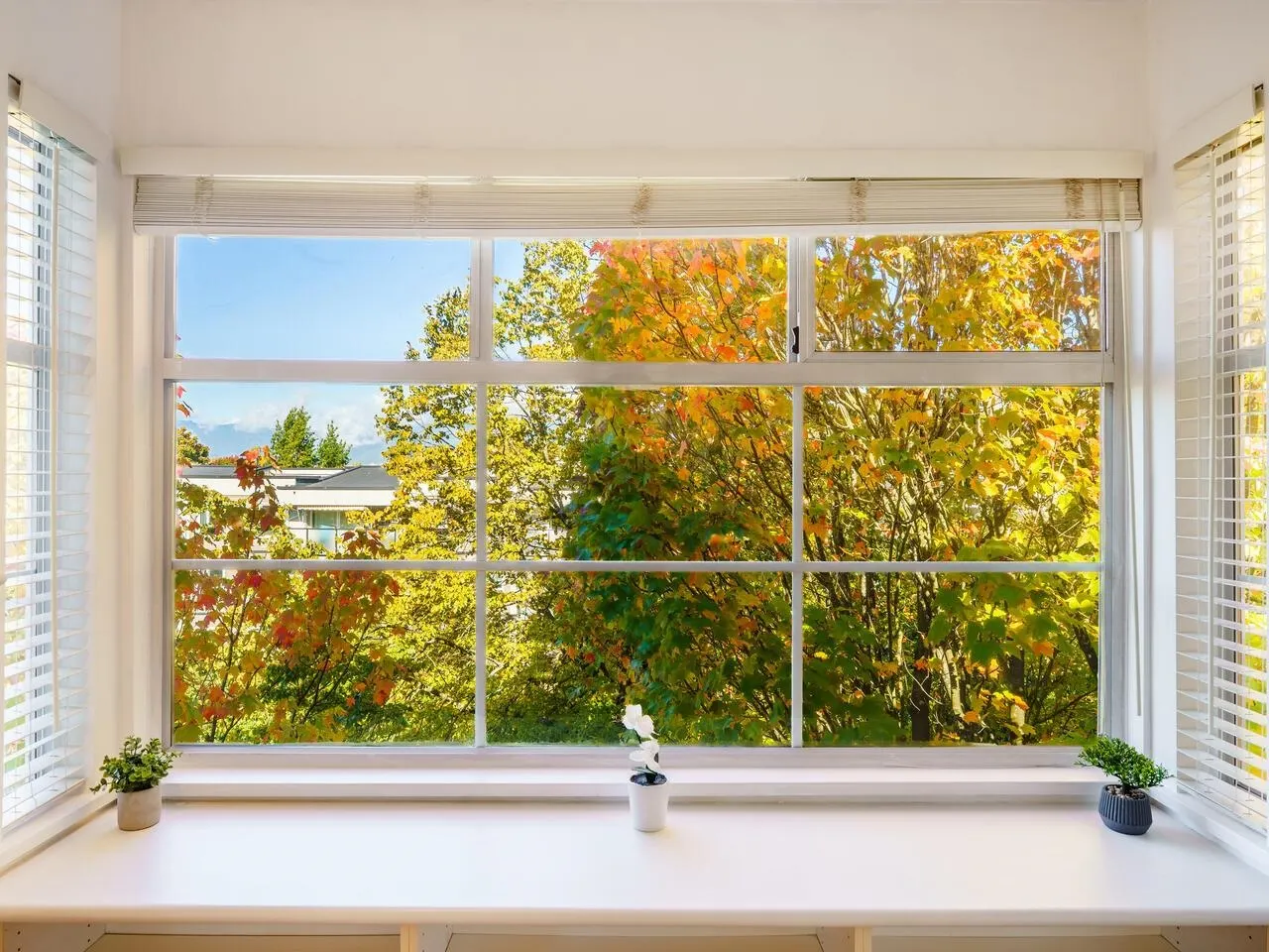 410 2388 Triumph Street