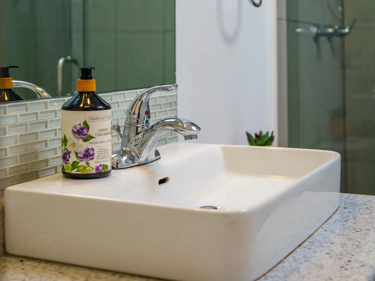 410 2388 Triumph Street