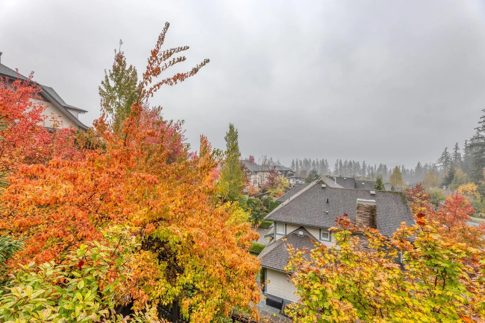 29 55 Hawthorn Drive