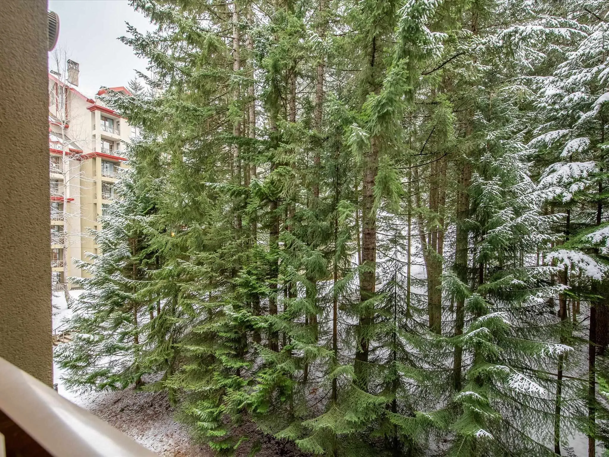 679 4090 Whistler Way