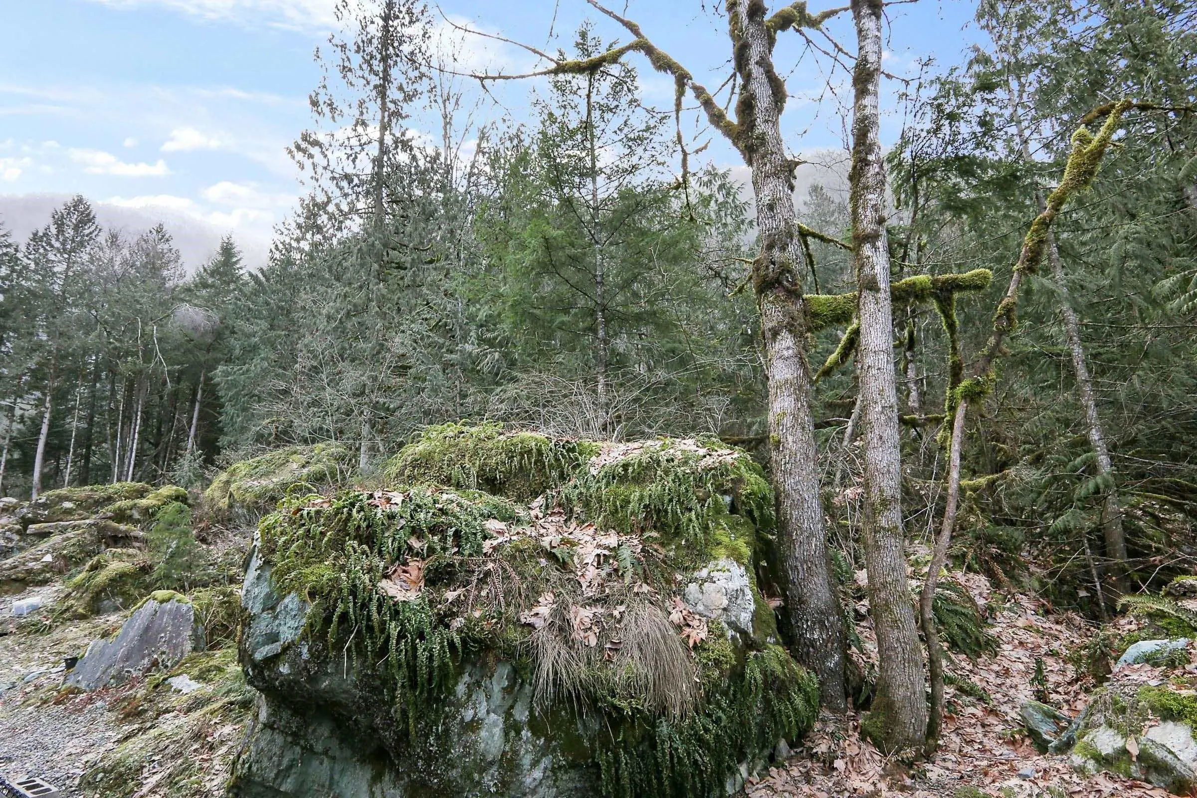 74 53480 Bridal Falls Road
