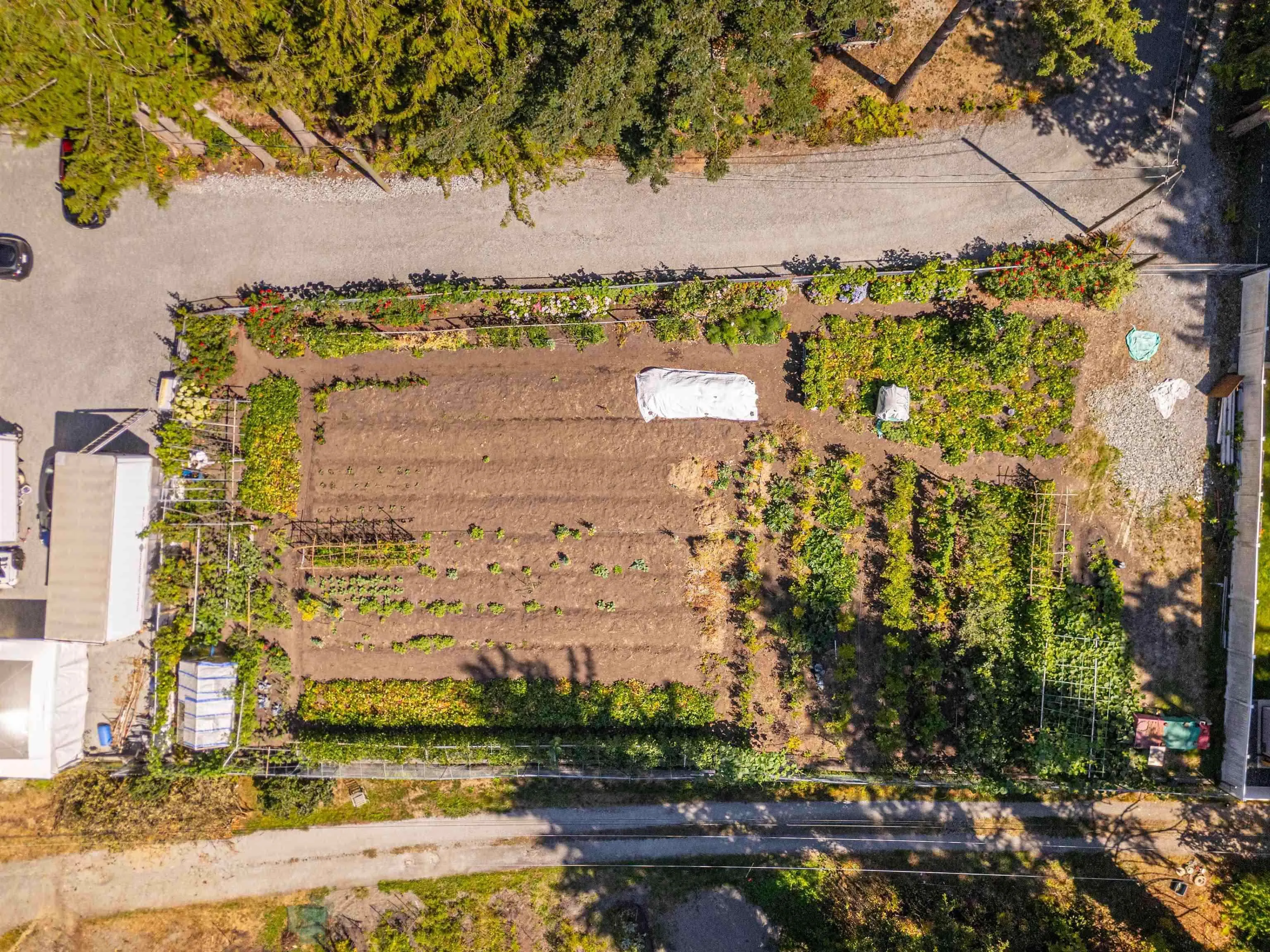 12861 Barnsdale Street