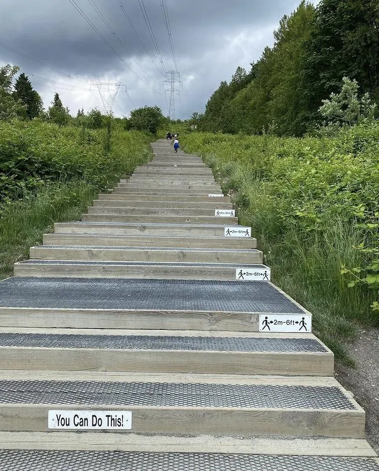 1402 Briarcliffe Drive