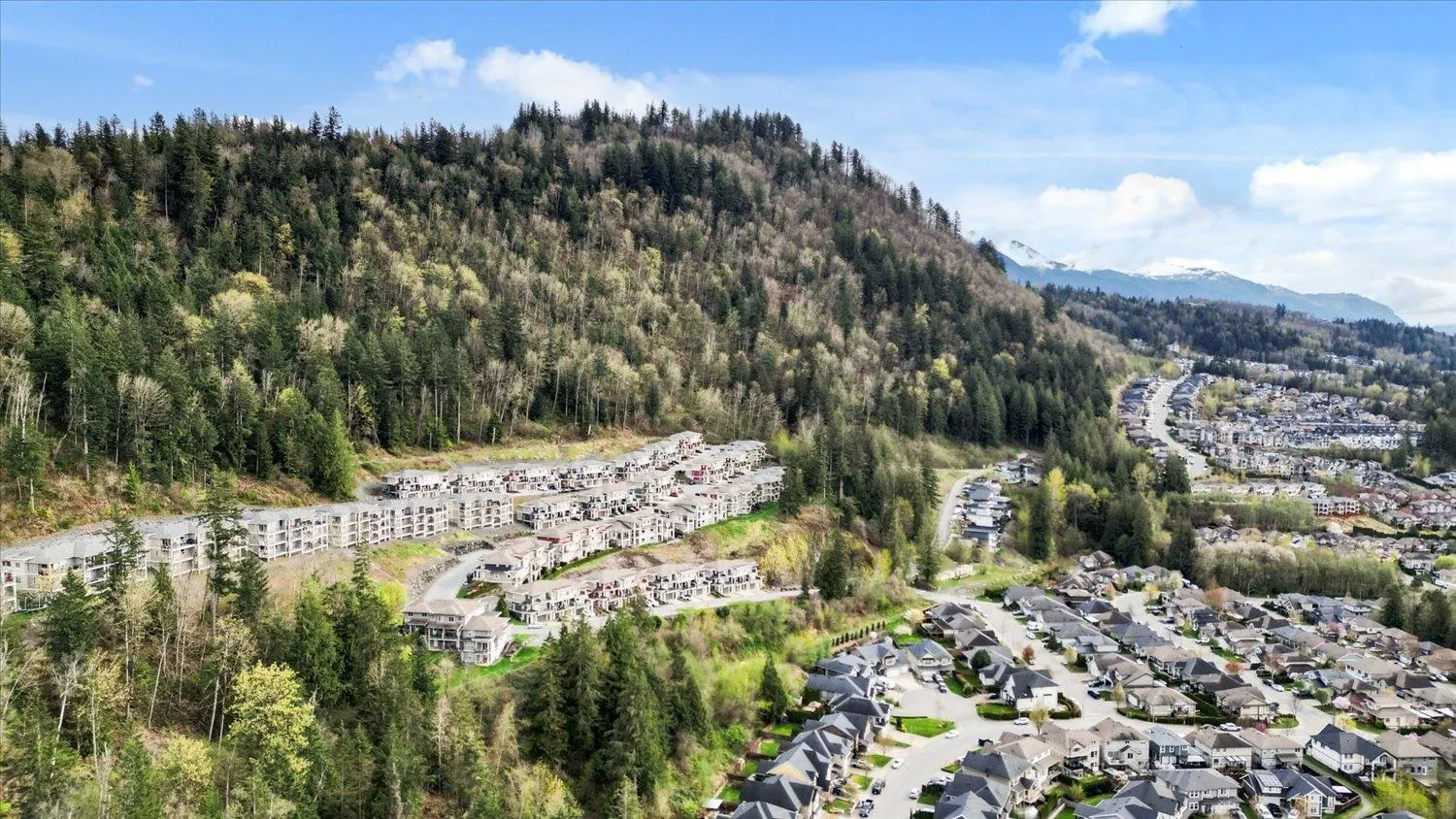 62 6026 Lindeman Street