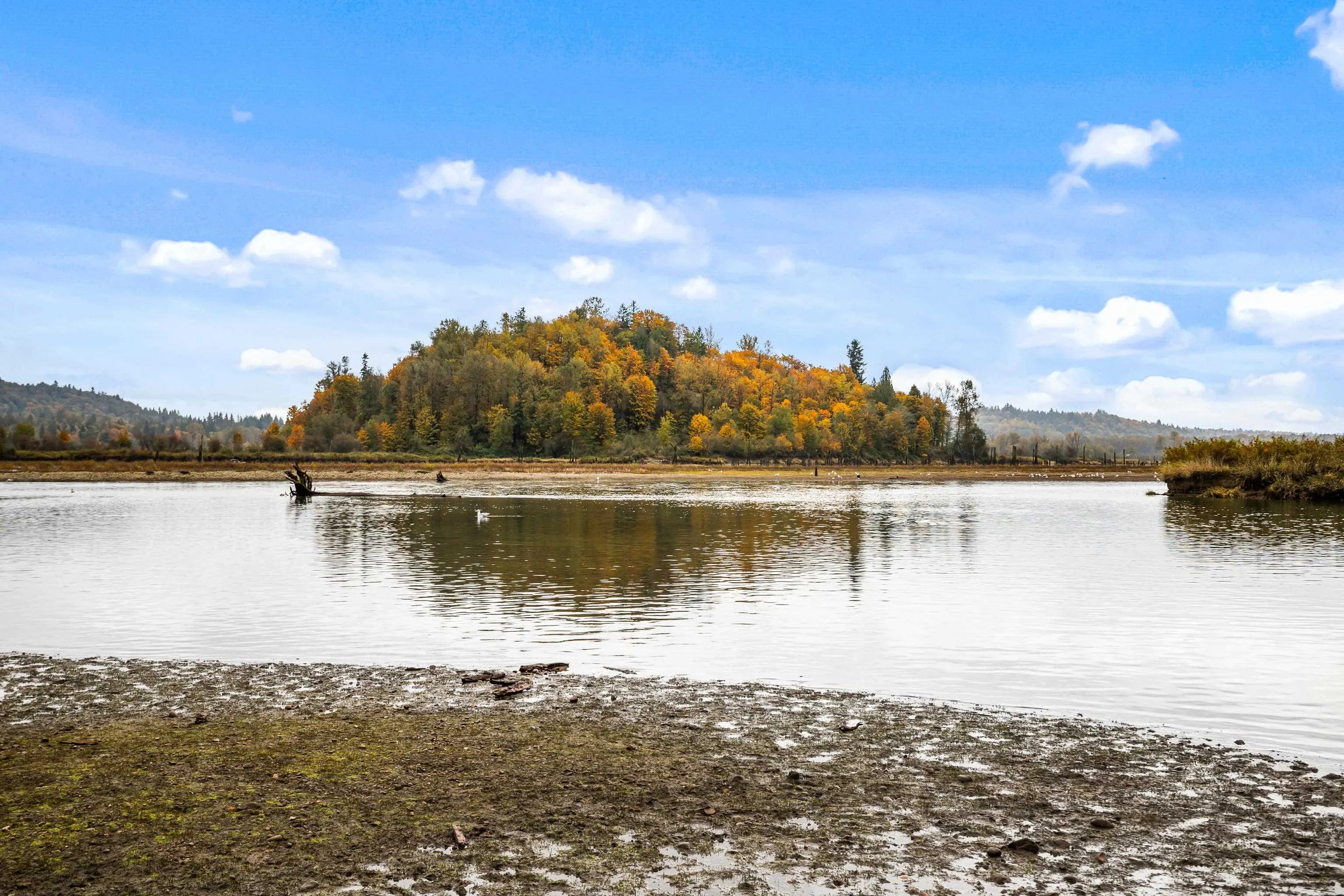 139 10221 Wilson Street