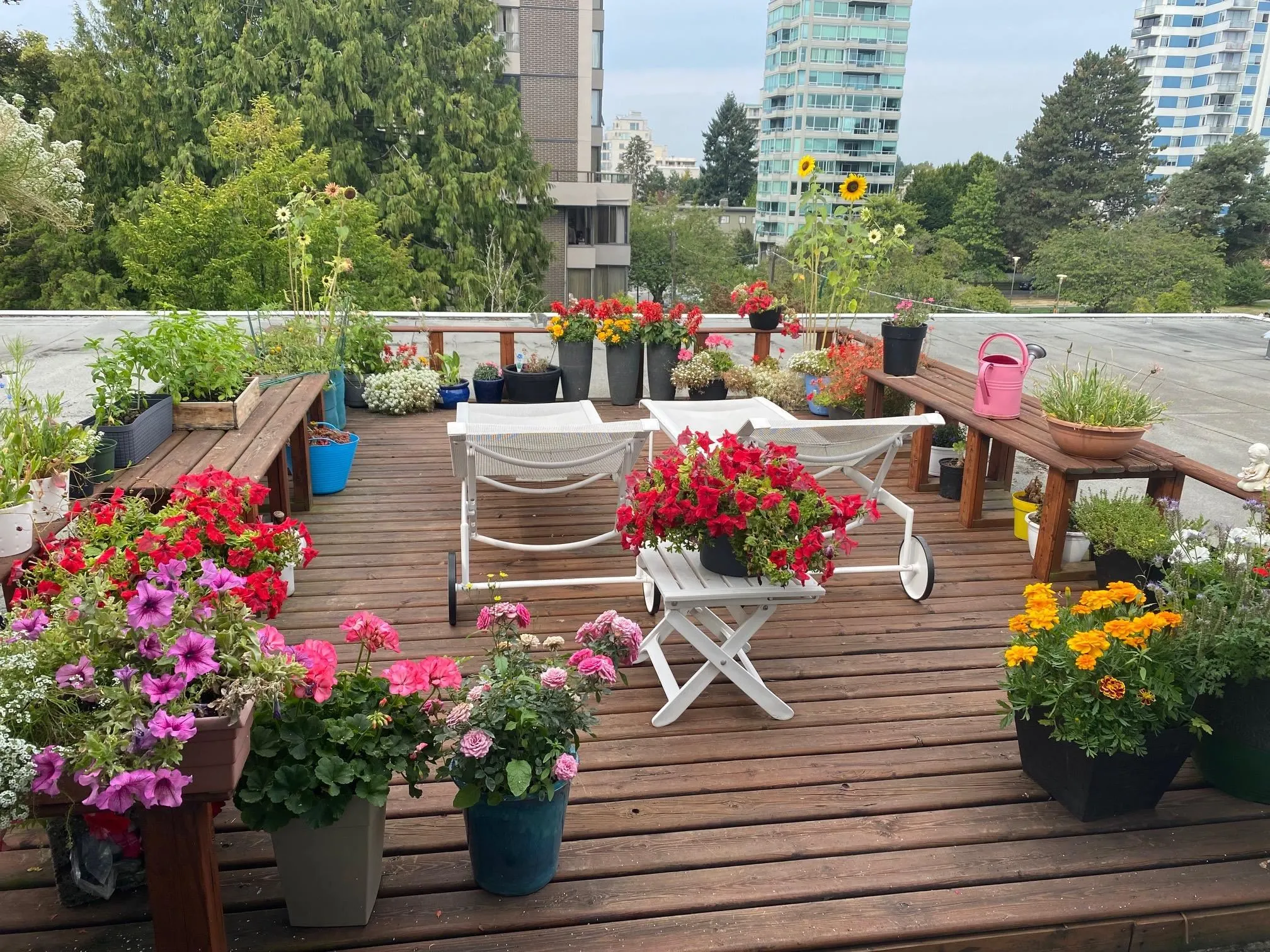 3 2146 W 43rd Avenue