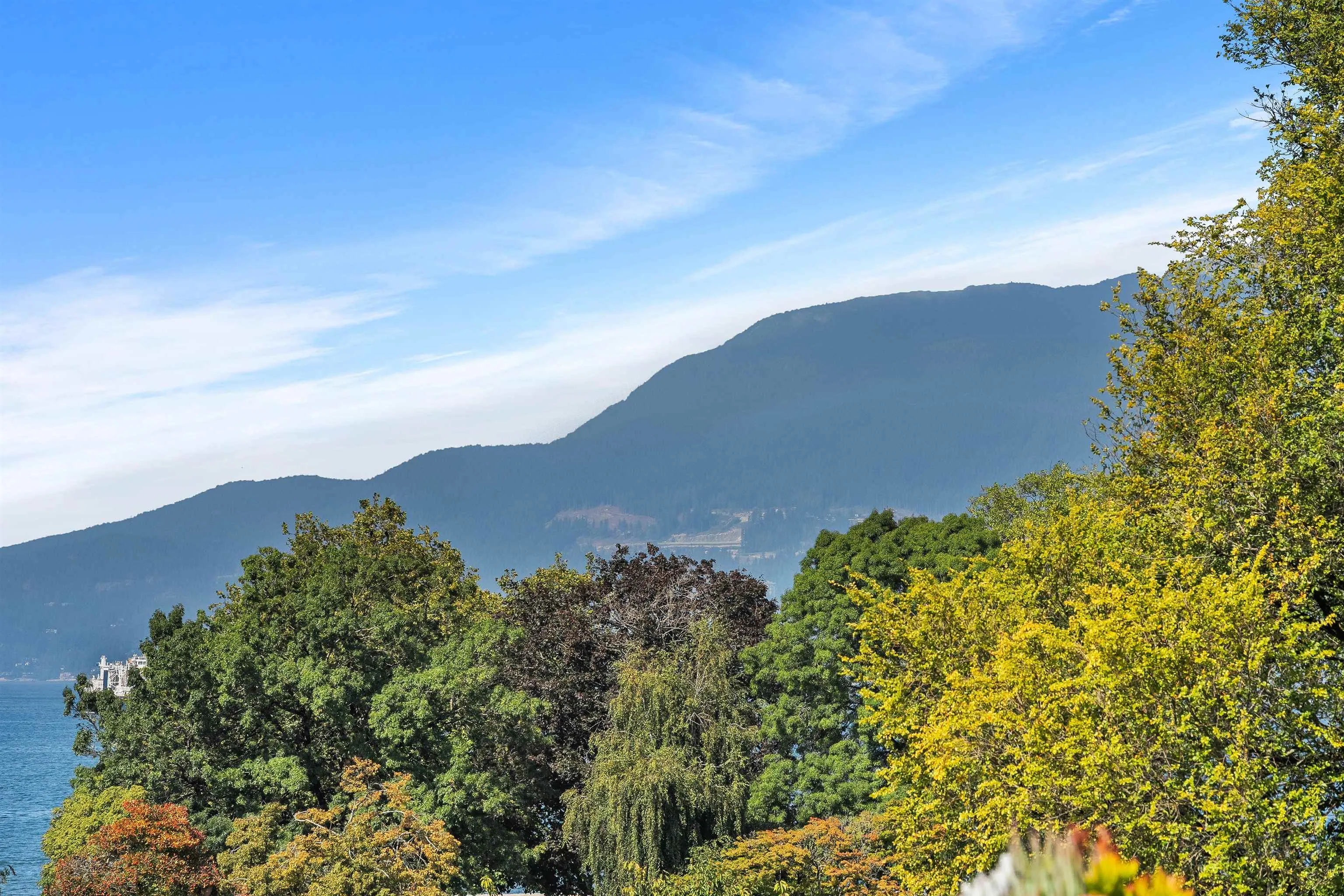 305 2110 Cornwall Avenue