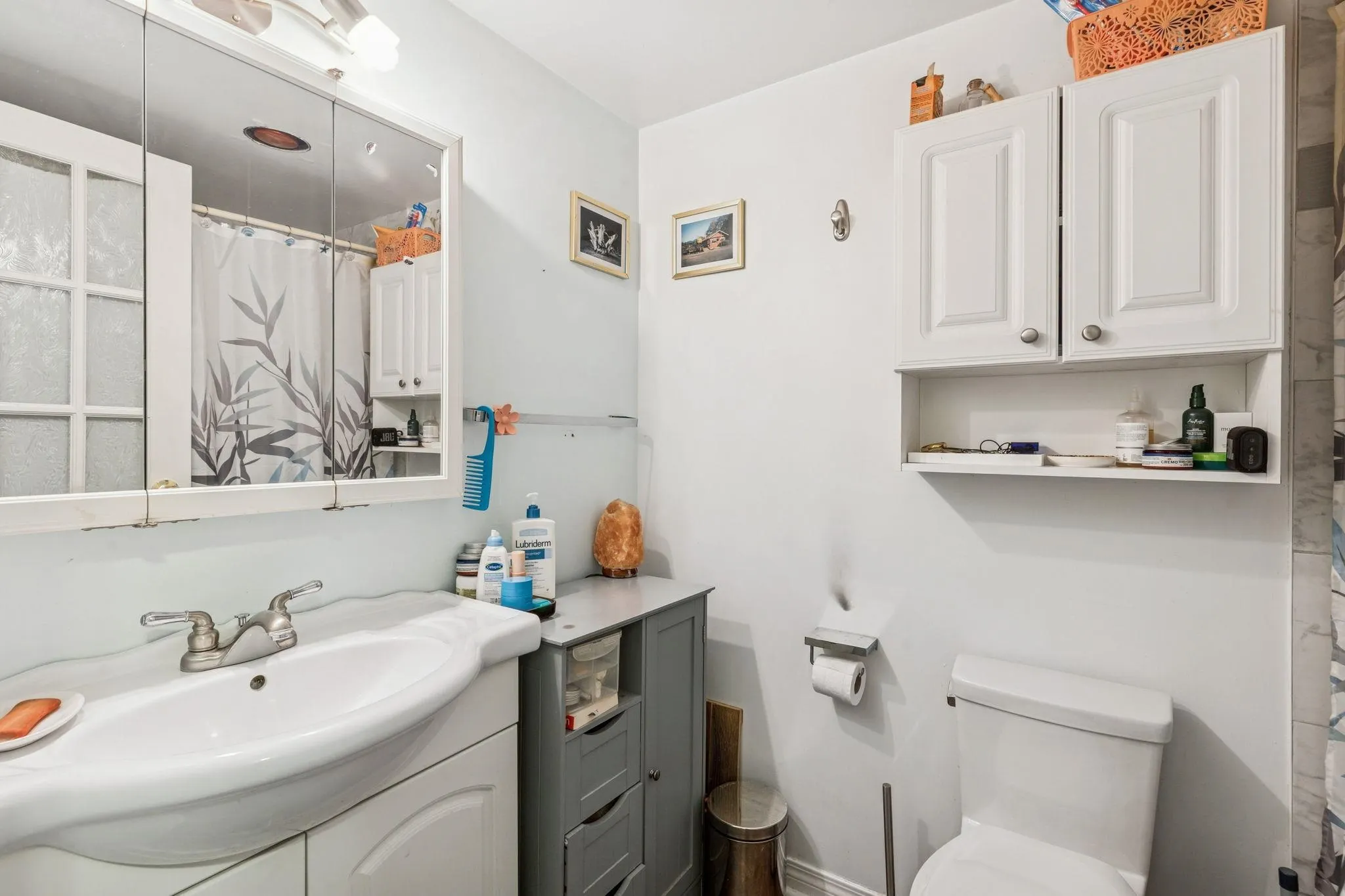 302 428 Agnes Street