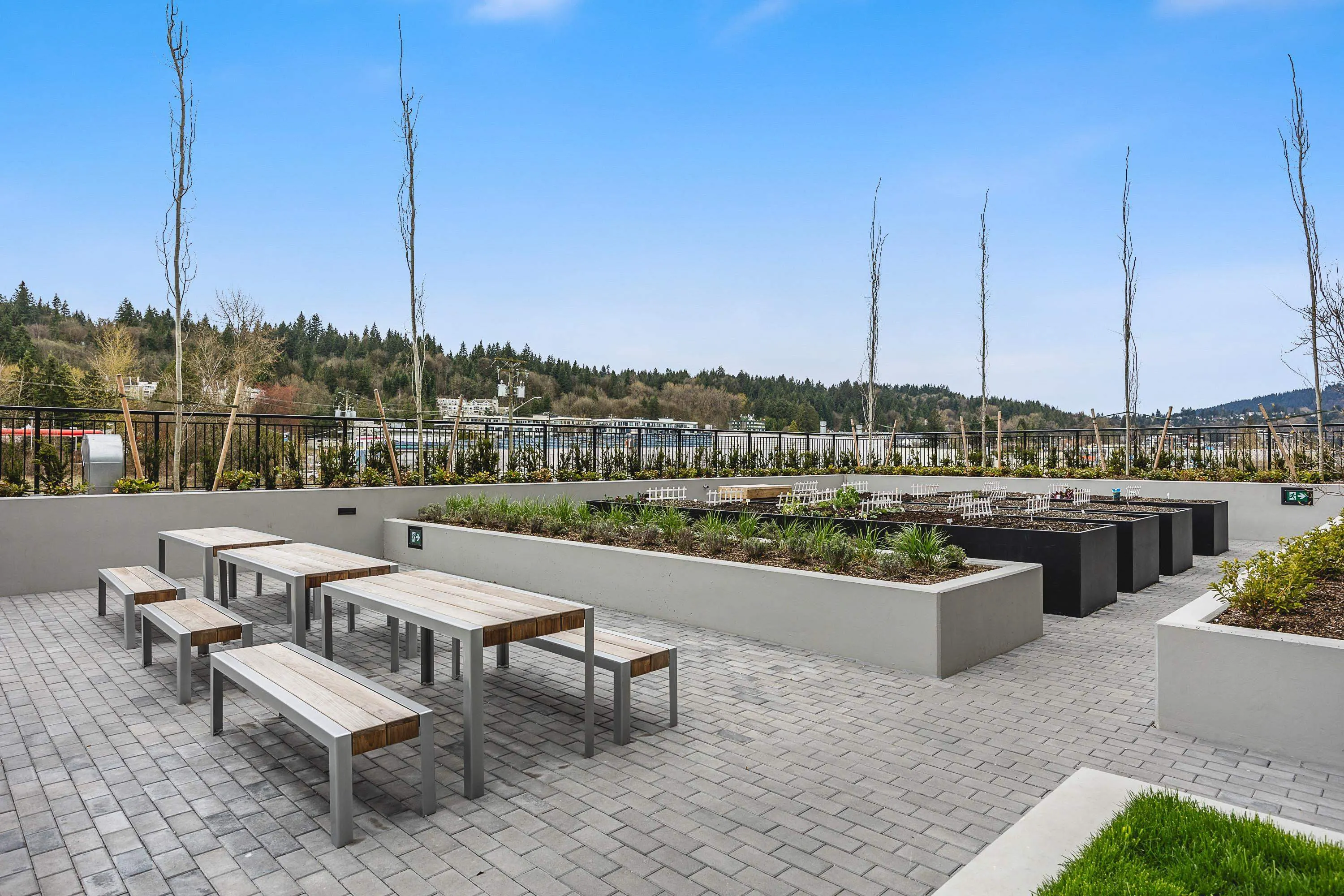 322 3131 Murray Street