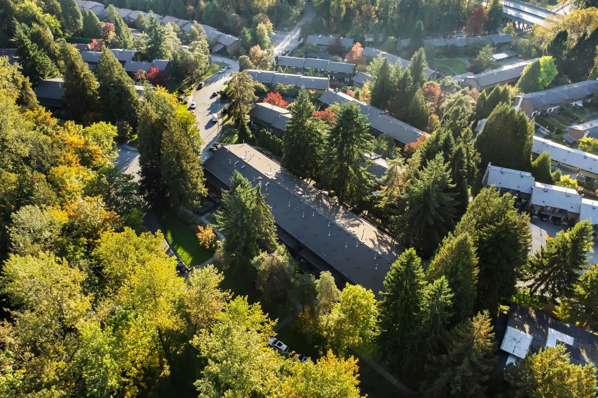 8904 Centaurus Circle