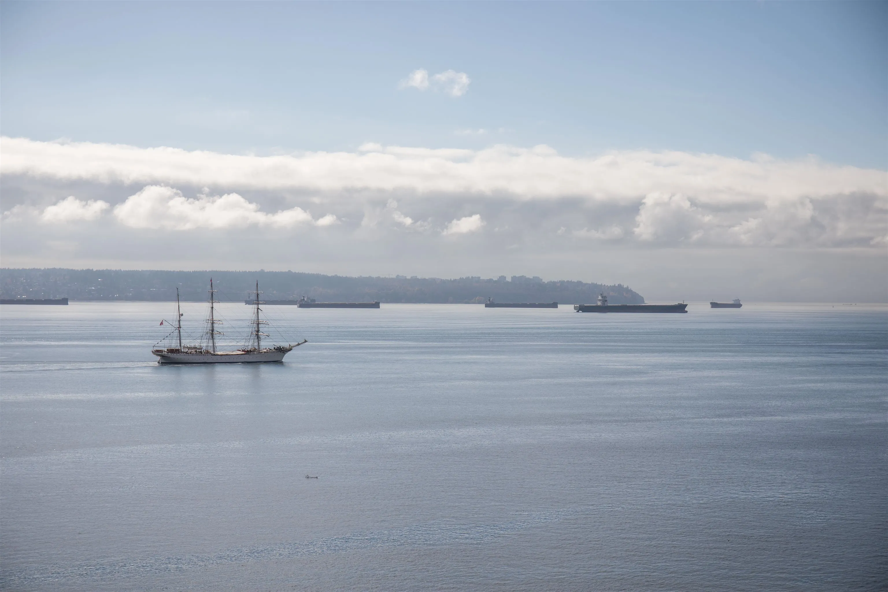 902 2135 Argyle Avenue