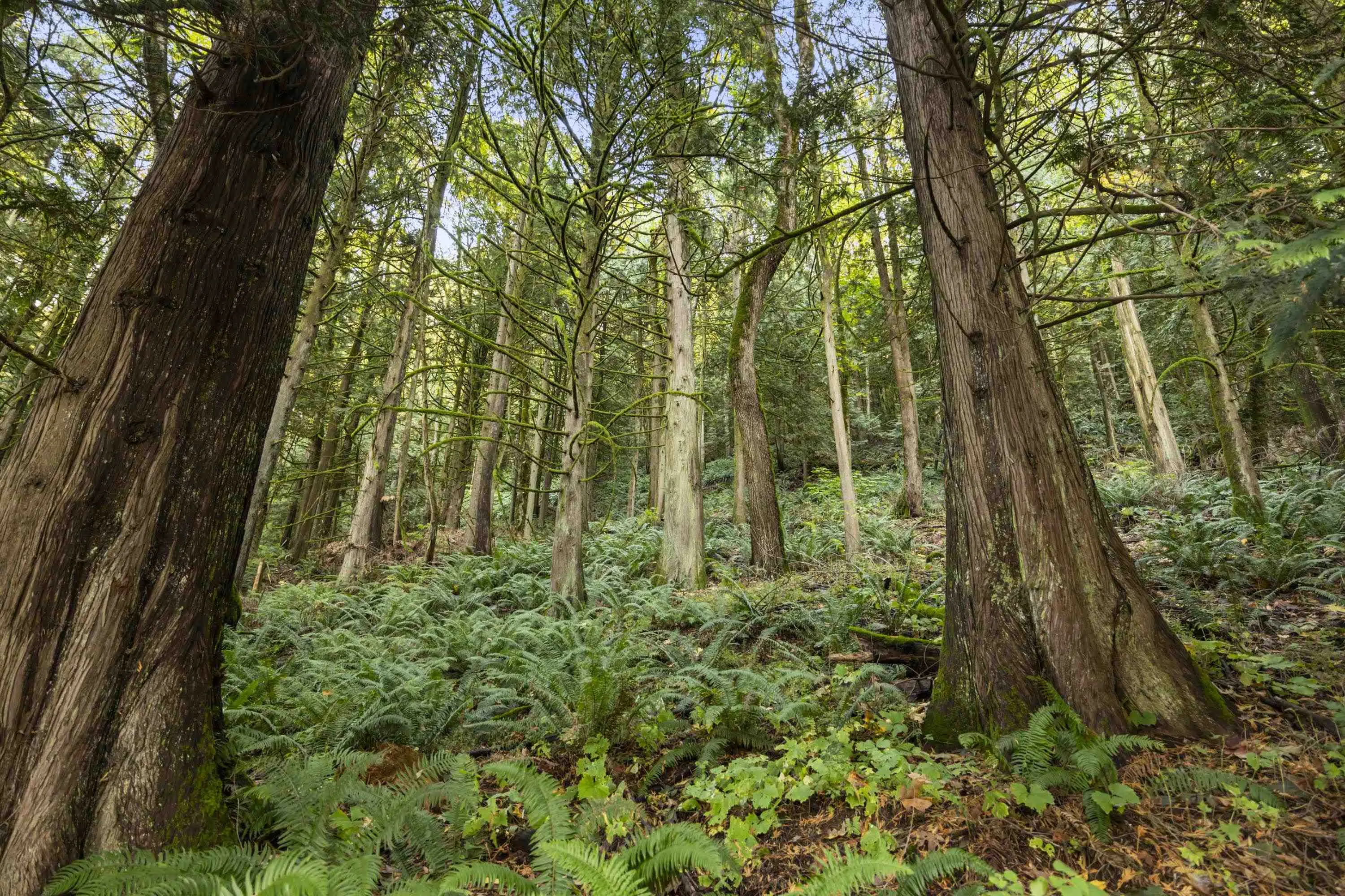 41612 Majuba Hill Road