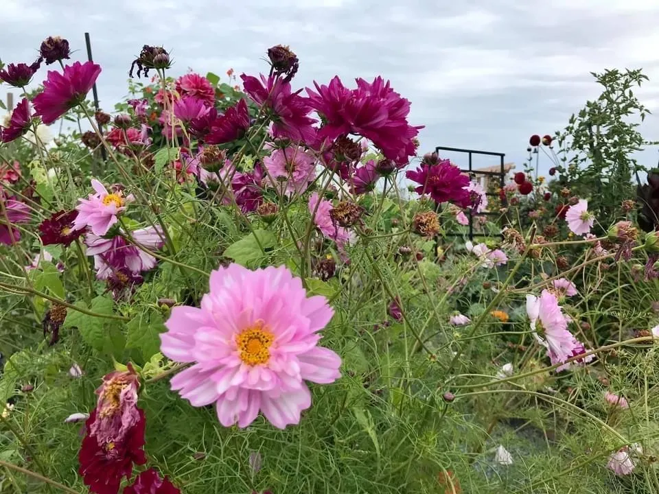 102 320 Ridge Street