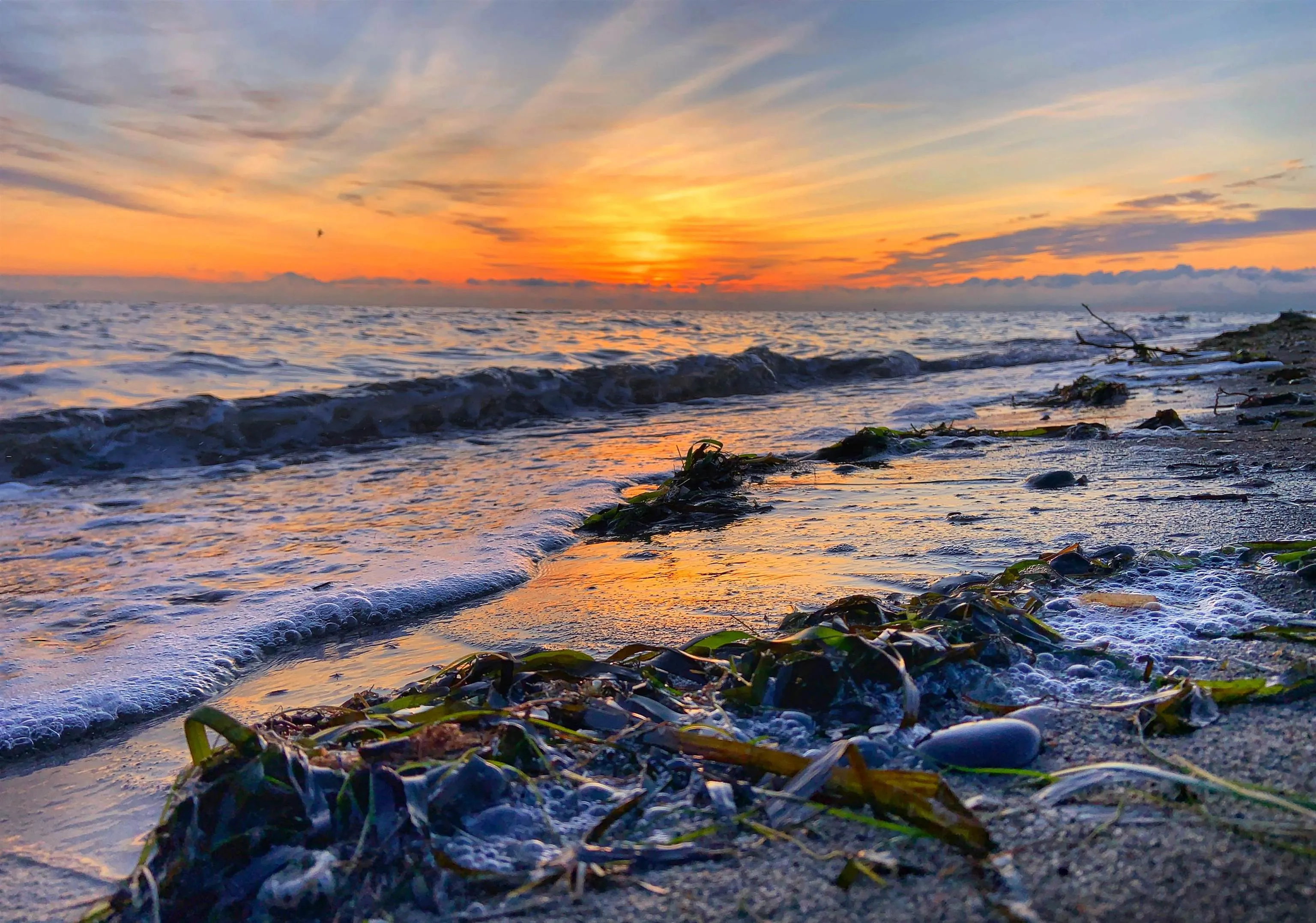 102 320 Ridge Street