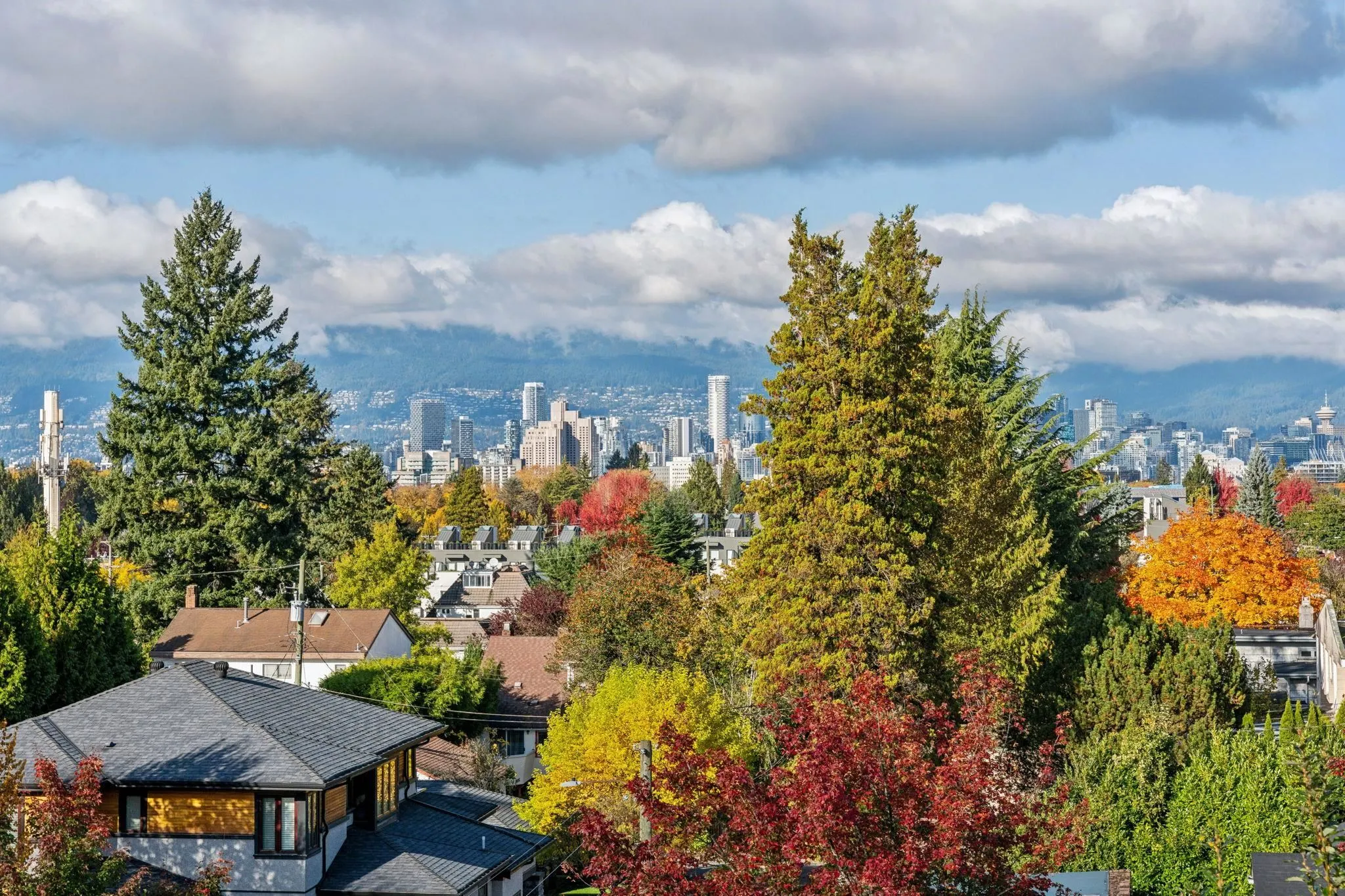 508 4867 Cambie Street