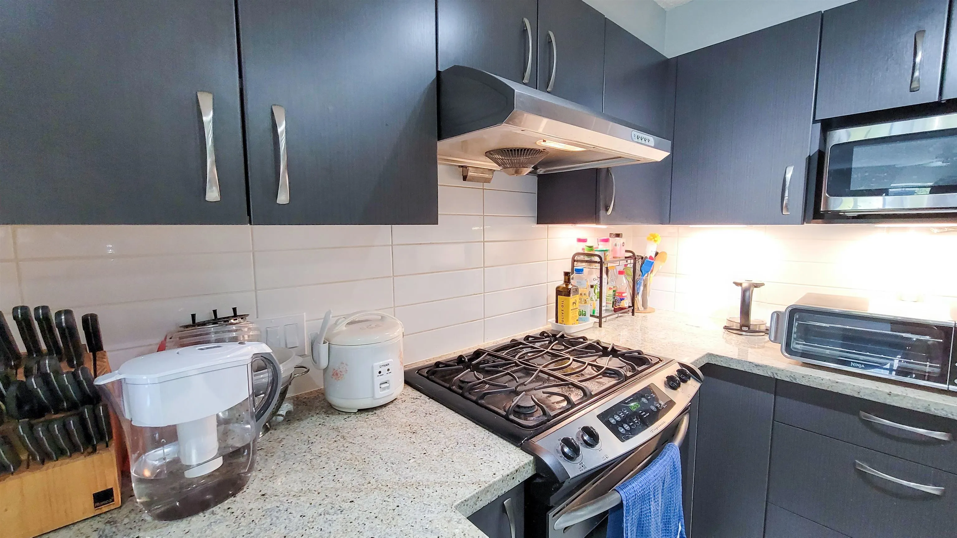 217 9299 Tomicki Avenue